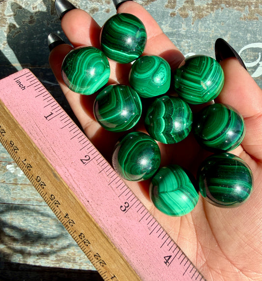 One (1) Mini Malachite Sphere | Intuitively Chosen