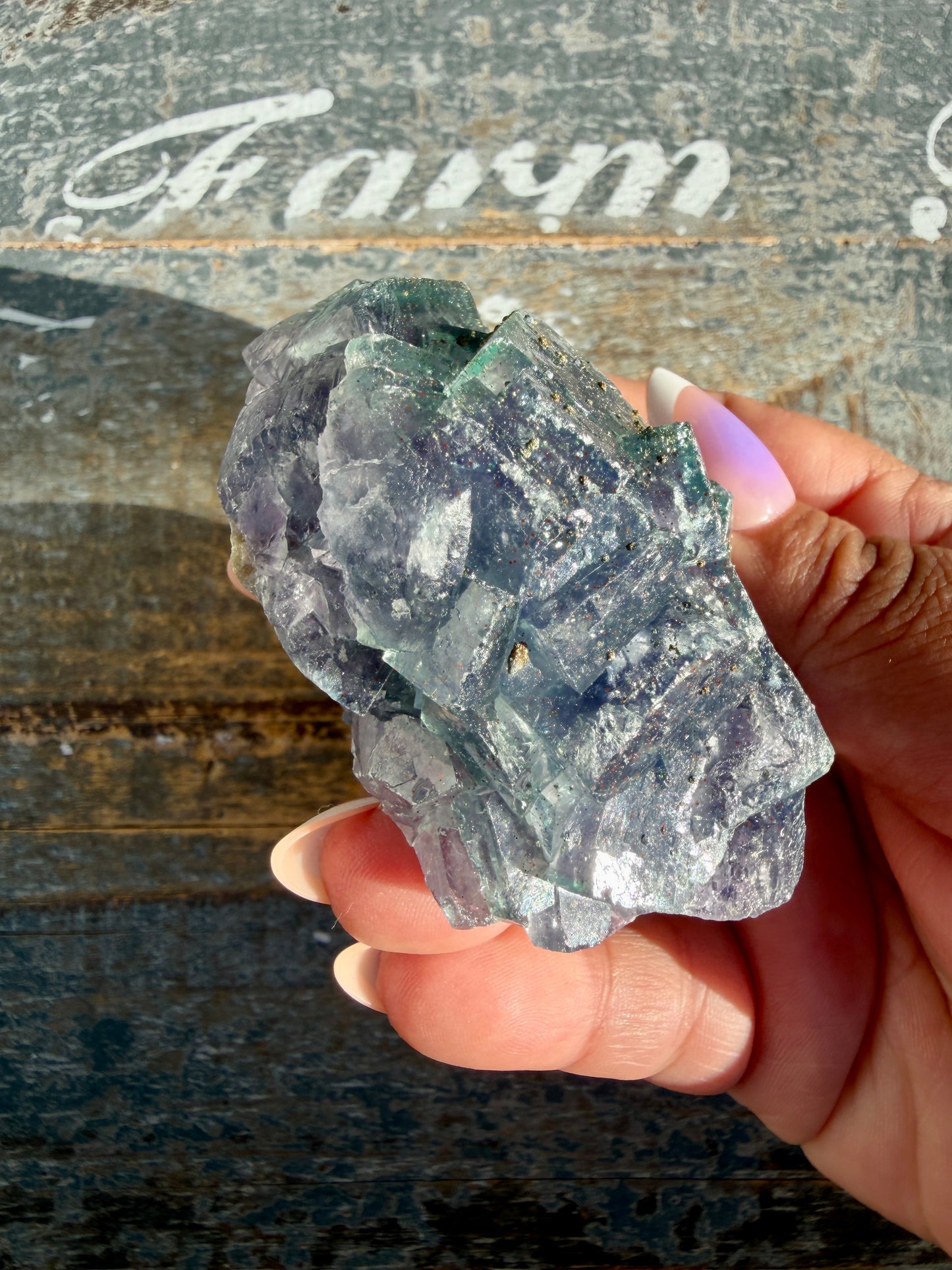 Gorgeous Cubic Dark Blue/Purple Fluorite Specimen coated in Pyrite | China | Opt 51