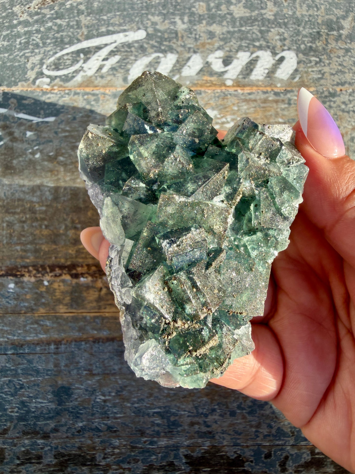 Gorgeous Cubic Dark Blue/Purple Fluorite Specimen coated in Pyrite | China | Opt 53