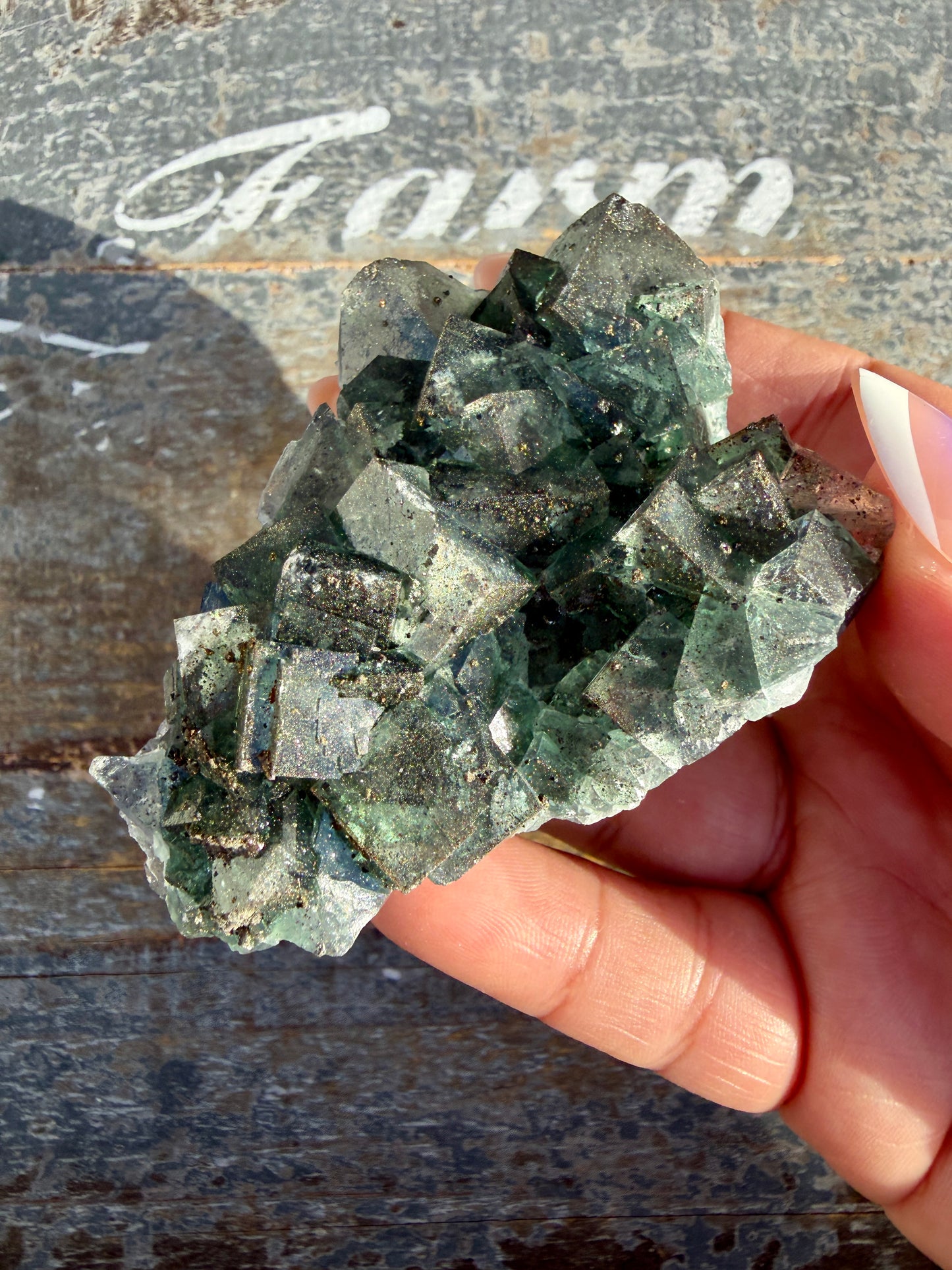 Gorgeous Cubic Dark Blue/Purple Fluorite Specimen coated in Pyrite | China | Opt 53