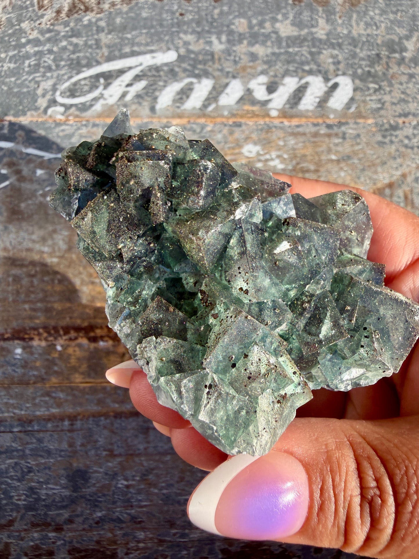 Gorgeous Cubic Dark Blue/Purple Fluorite Specimen coated in Pyrite | China | Opt 53