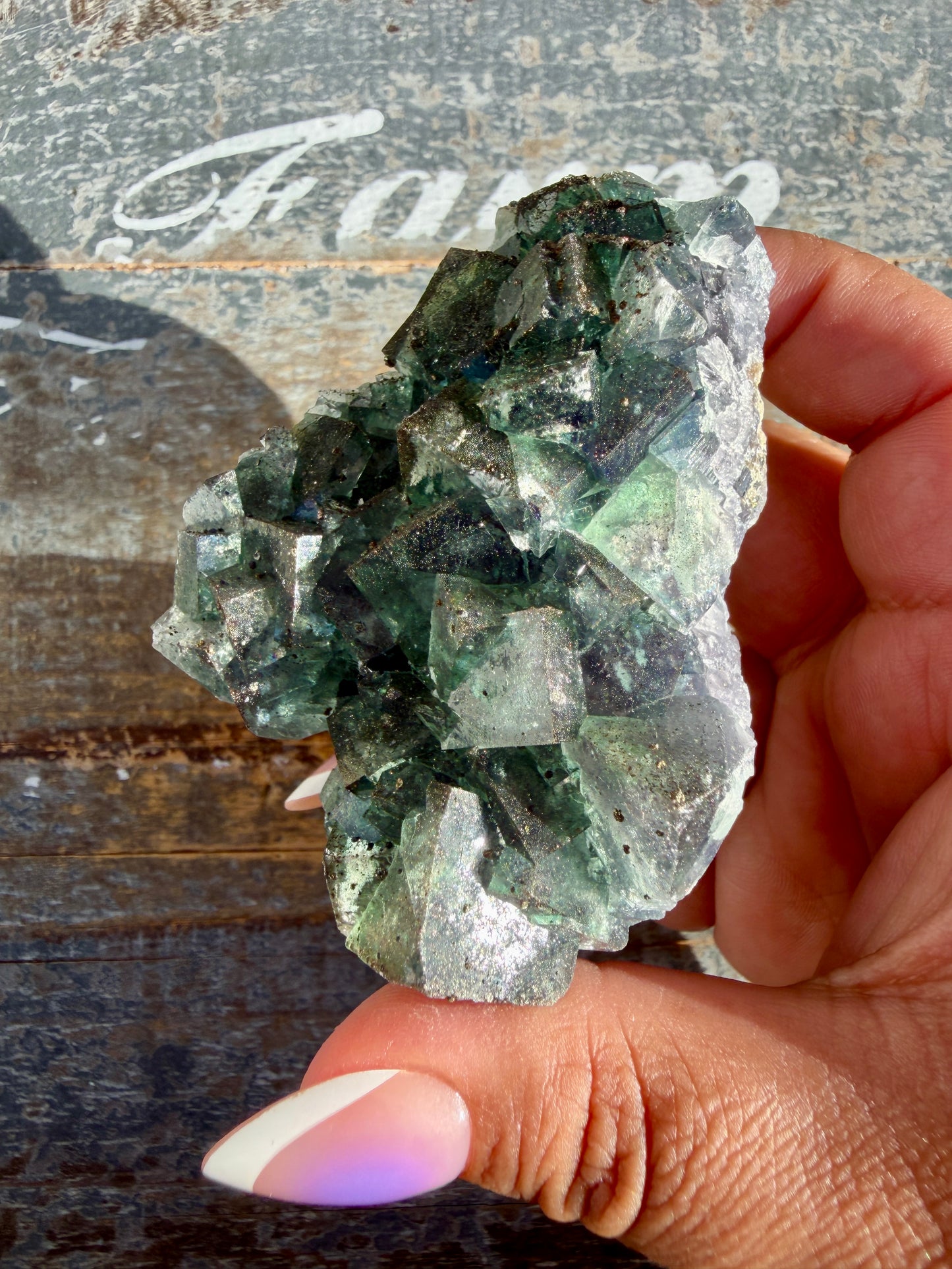 Gorgeous Cubic Dark Blue/Purple Fluorite Specimen coated in Pyrite | China | Opt 53