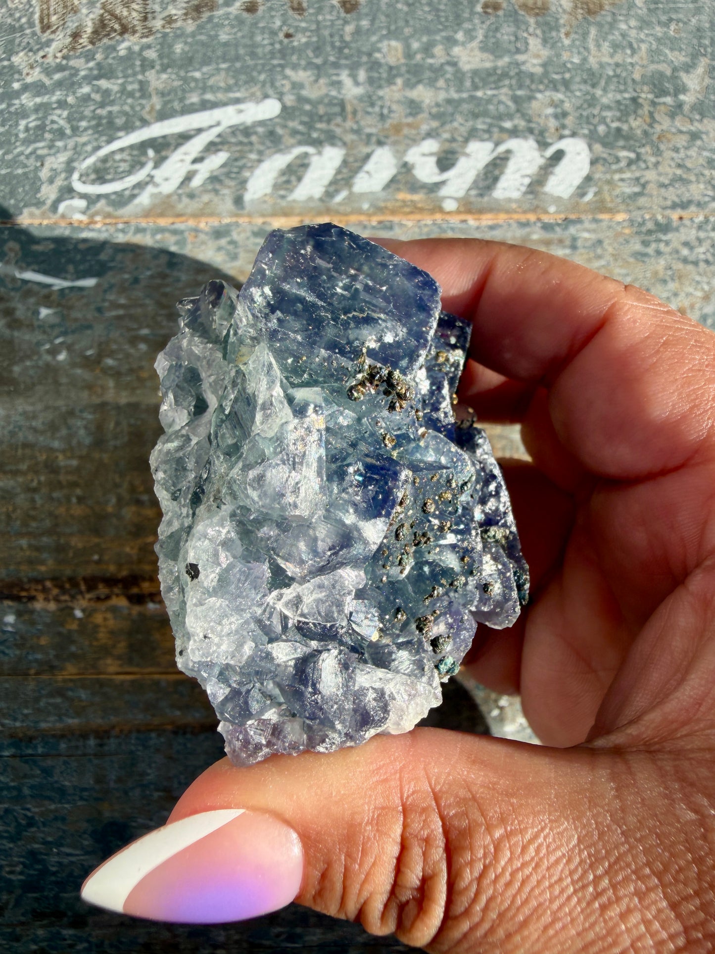 Gorgeous Cubic Dark Blue/Purple Fluorite Specimen coated in Pyrite | China | Opt 52