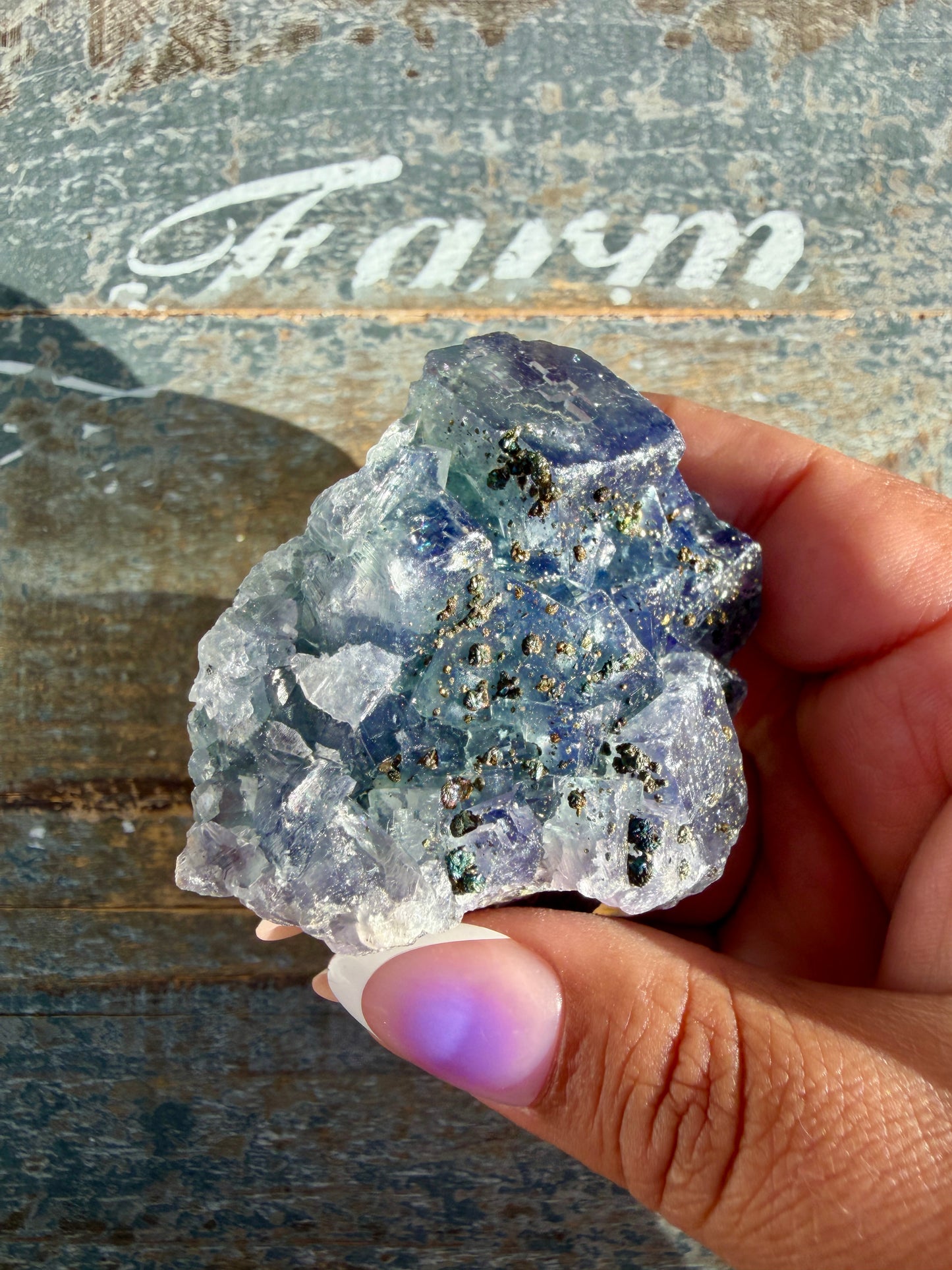Gorgeous Cubic Dark Blue/Purple Fluorite Specimen coated in Pyrite | China | Opt 52