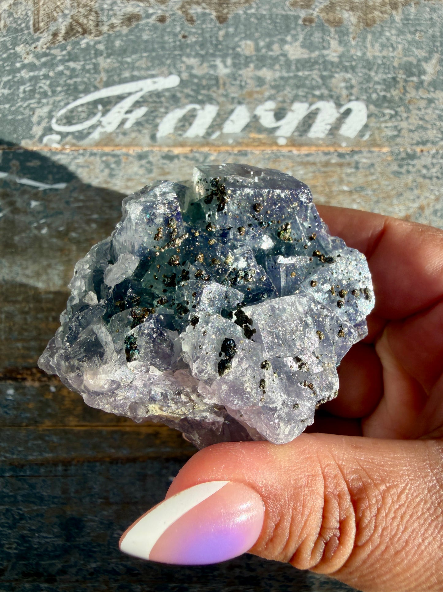 Gorgeous Cubic Dark Blue/Purple Fluorite Specimen coated in Pyrite | China | Opt 52