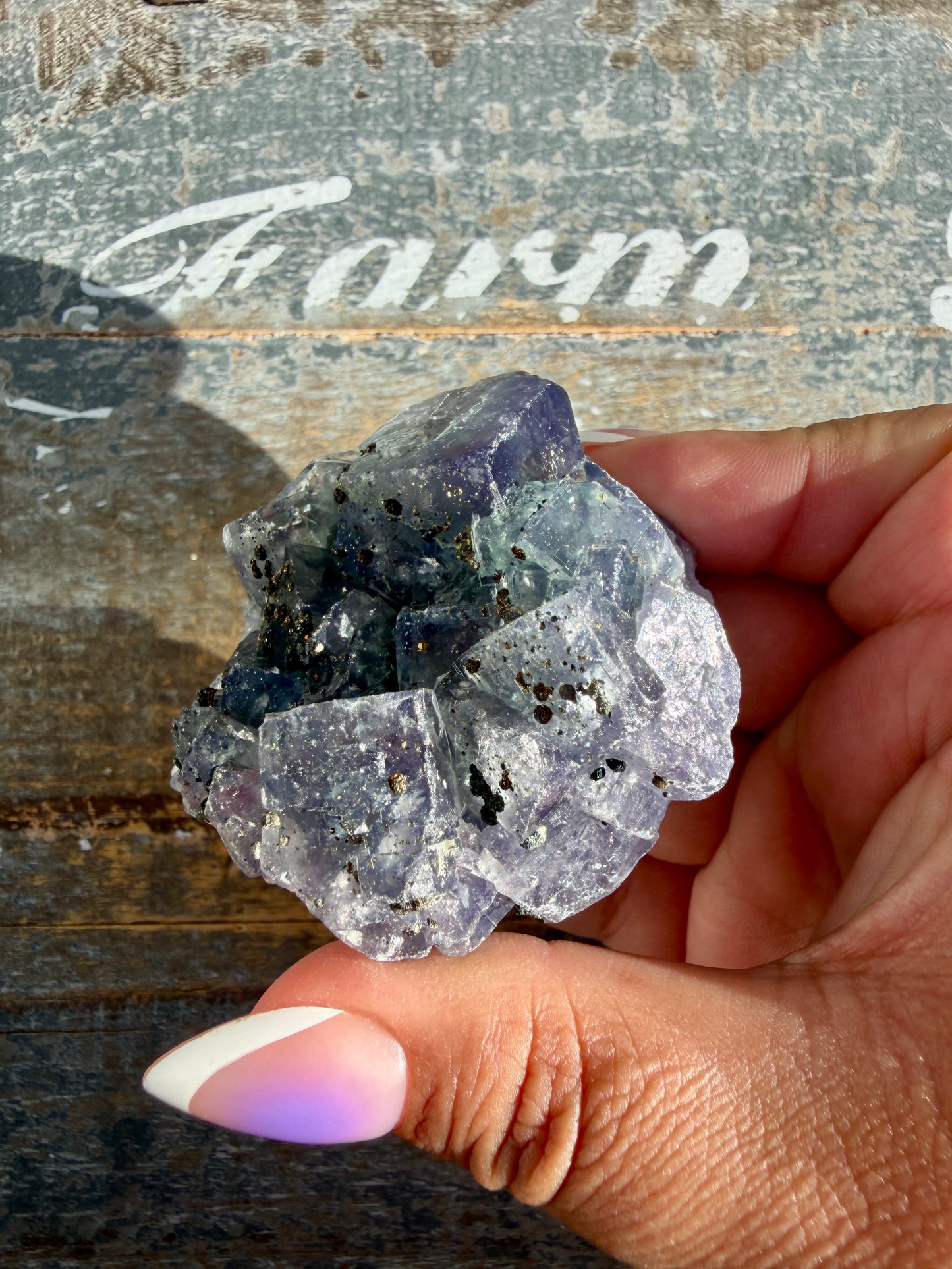 Gorgeous Cubic Dark Blue/Purple Fluorite Specimen coated in Pyrite | China | Opt 52