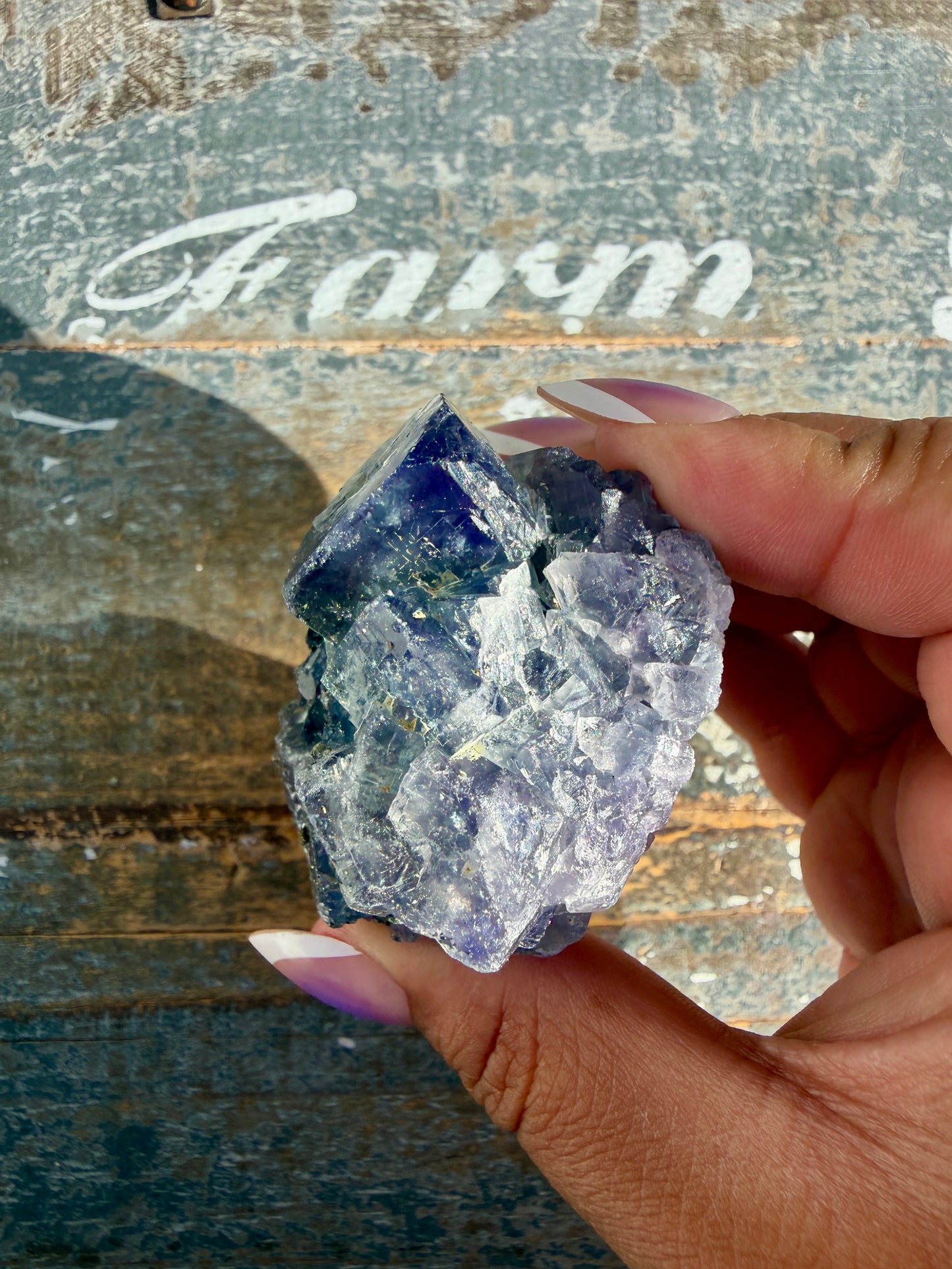 Gorgeous Cubic Dark Blue/Purple Fluorite Specimen coated in Pyrite | China | Opt 52