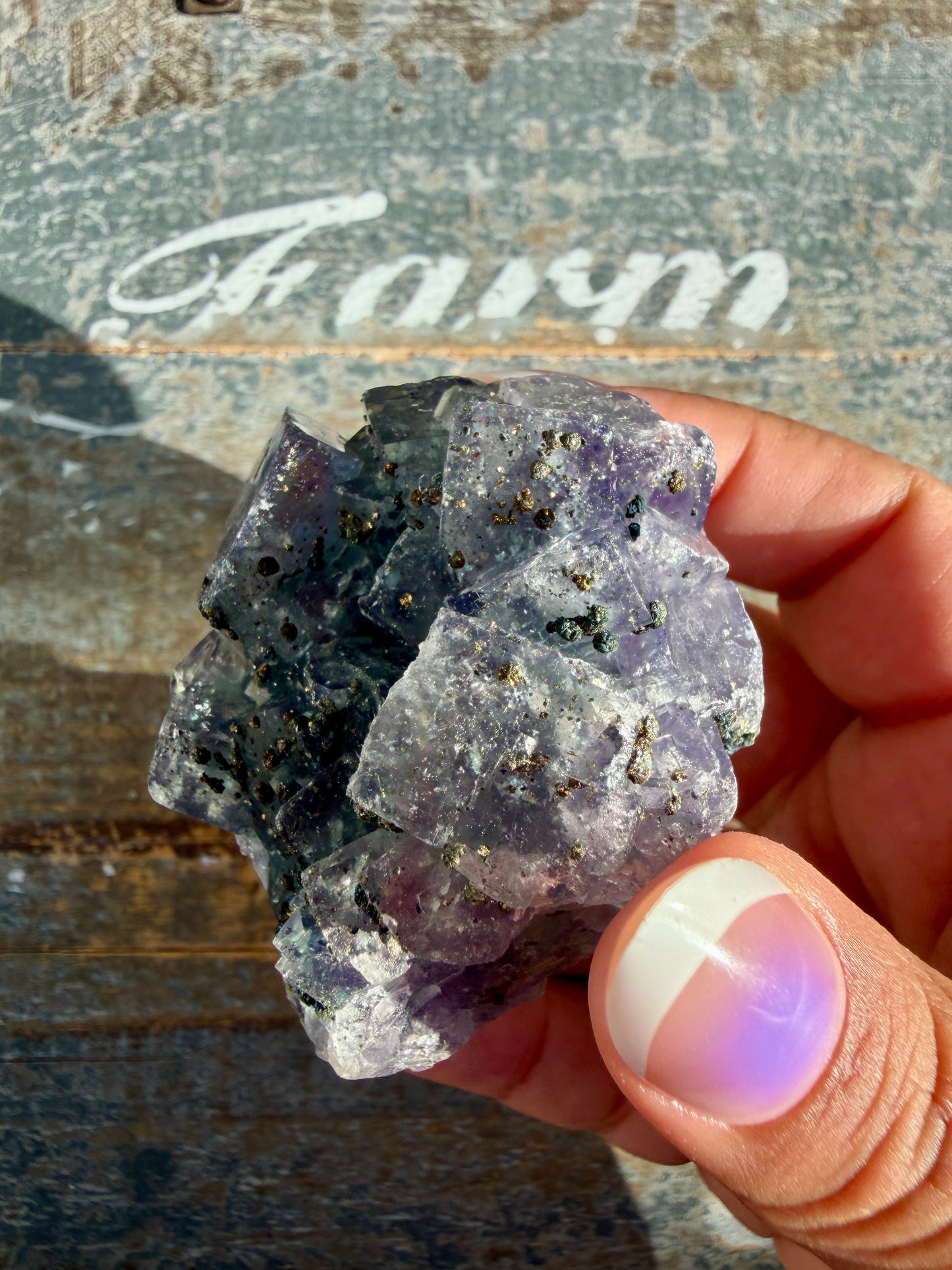Gorgeous Cubic Dark Blue/Purple Fluorite Specimen coated in Pyrite | China | Opt 52