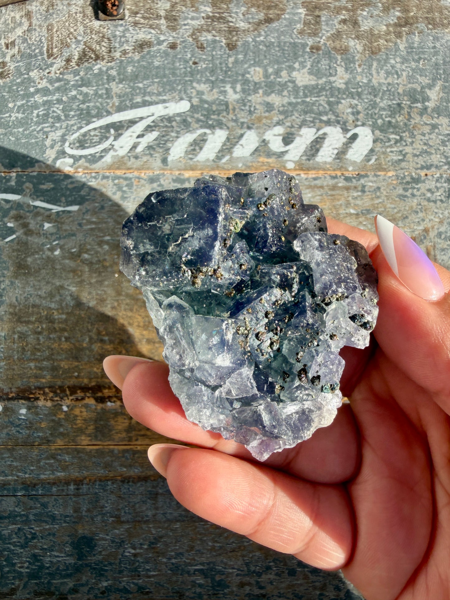 Gorgeous Cubic Dark Blue/Purple Fluorite Specimen coated in Pyrite | China | Opt 52