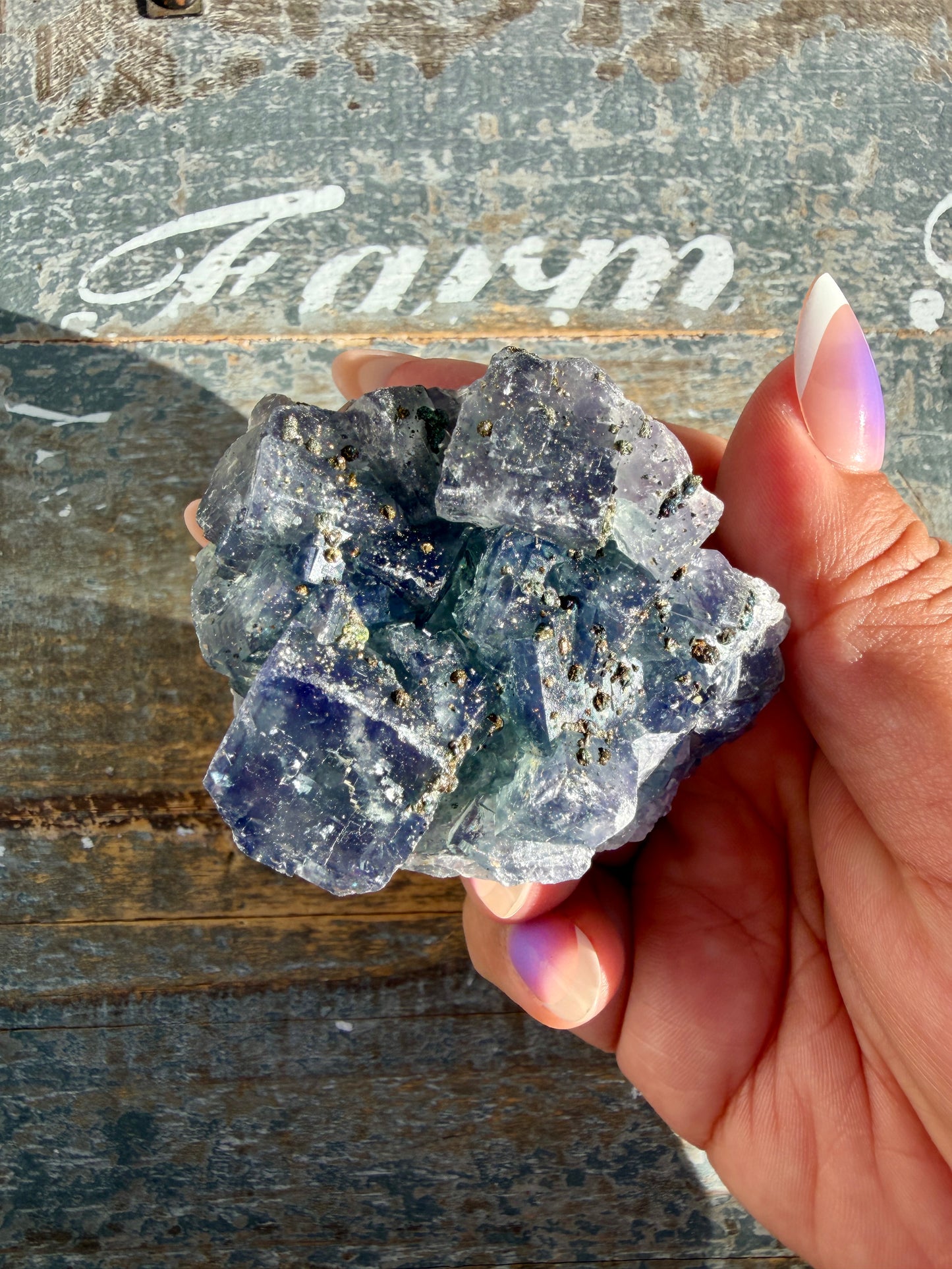 Gorgeous Cubic Dark Blue/Purple Fluorite Specimen coated in Pyrite | China | Opt 52