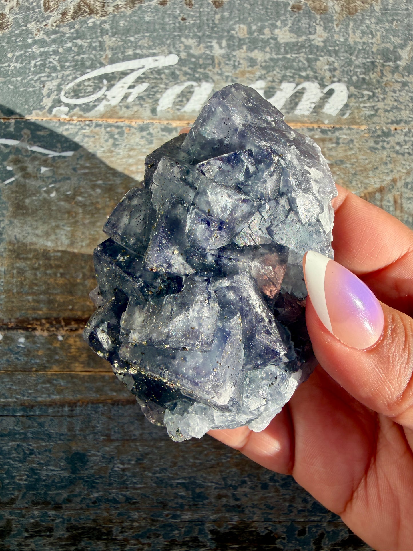 Gorgeous Cubic Dark Blue/Purple Fluorite Specimen coated in Pyrite | China | Opt 54