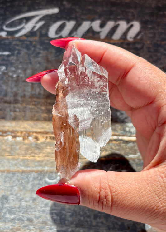 Gorgeous *RARE Naica Selenite