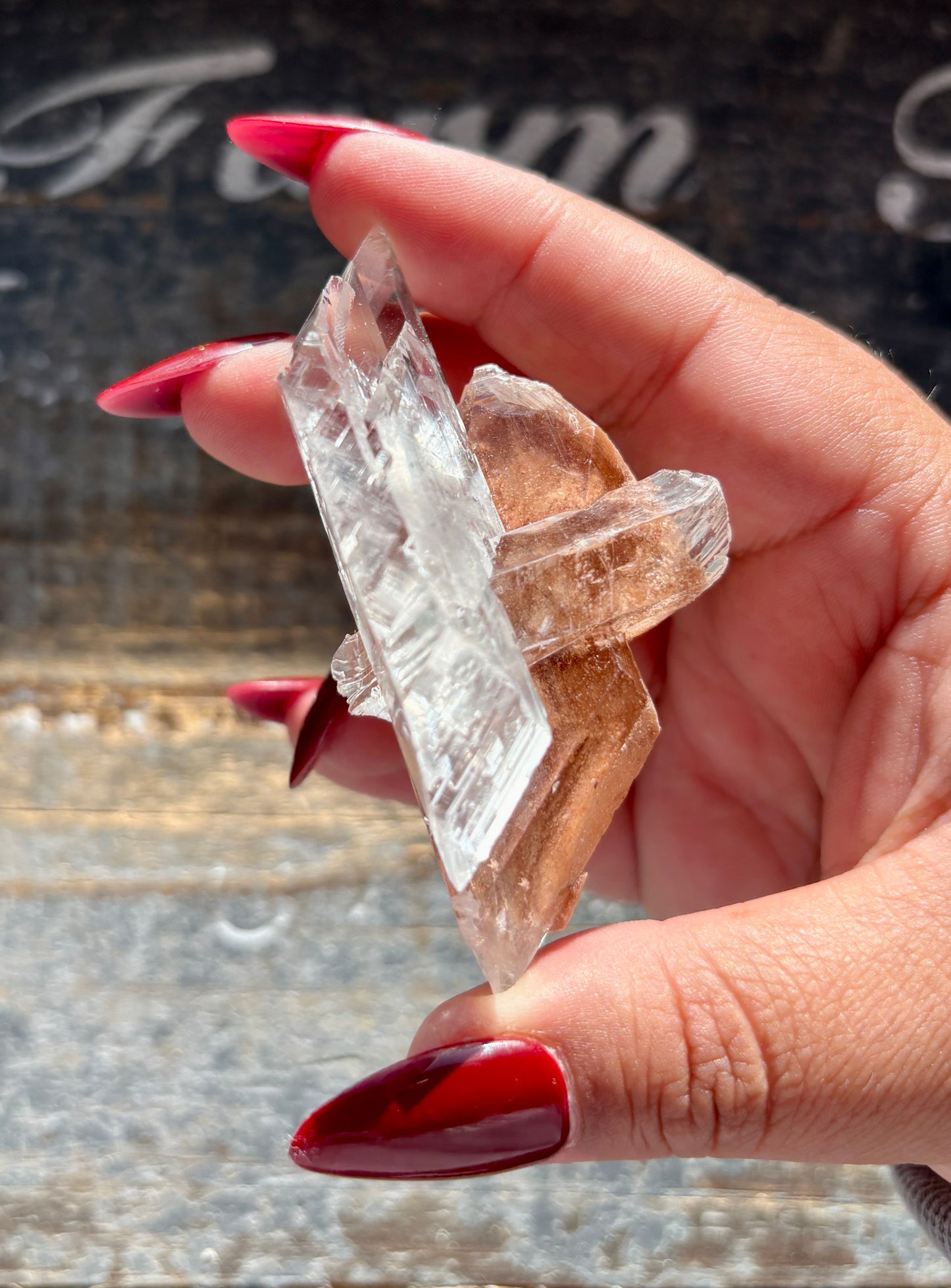 Gorgeous *RARE Naica Selenite