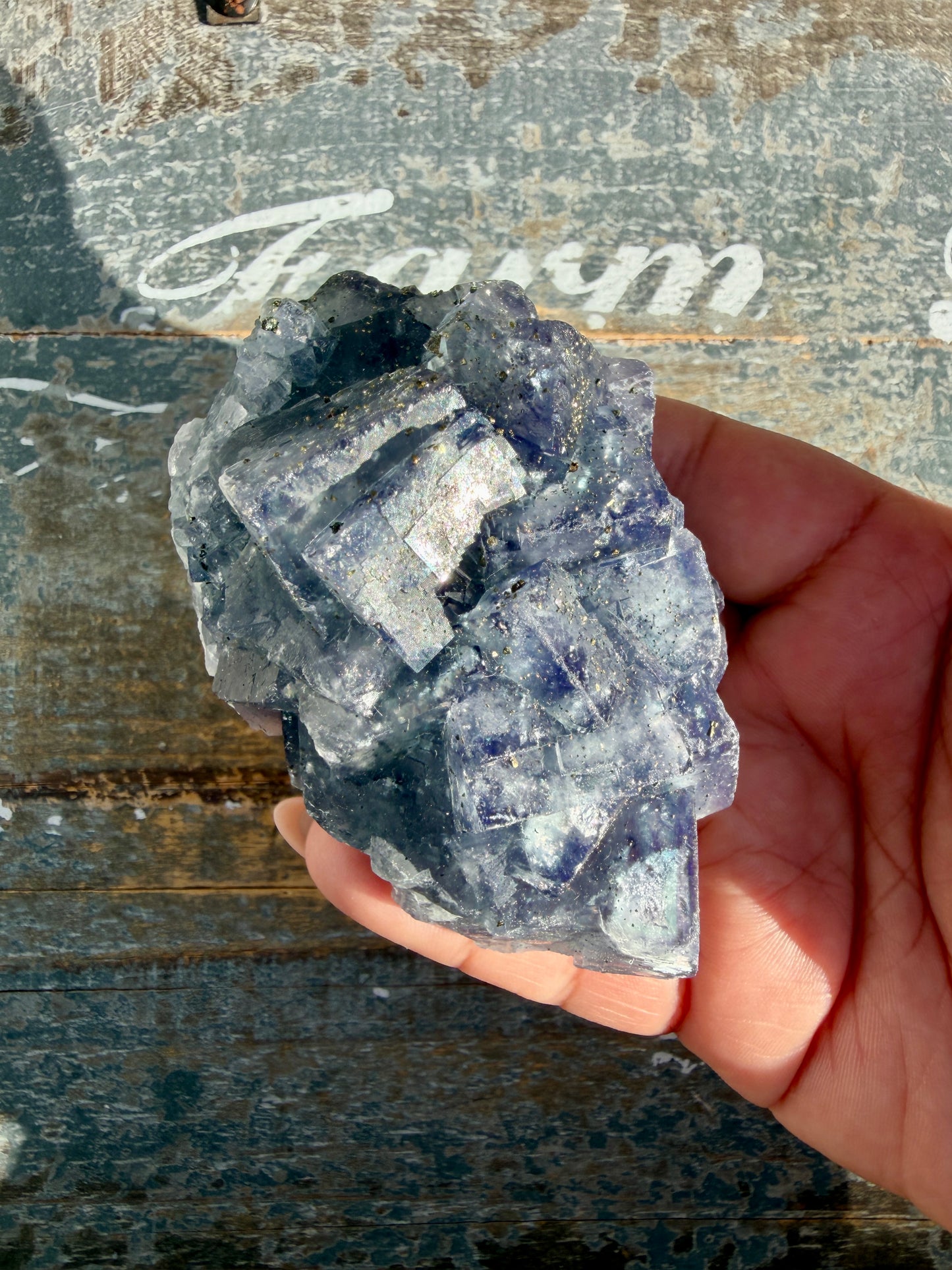 Gorgeous Cubic Dark Blue/Purple Fluorite Specimen coated in Pyrite | China | Opt 54