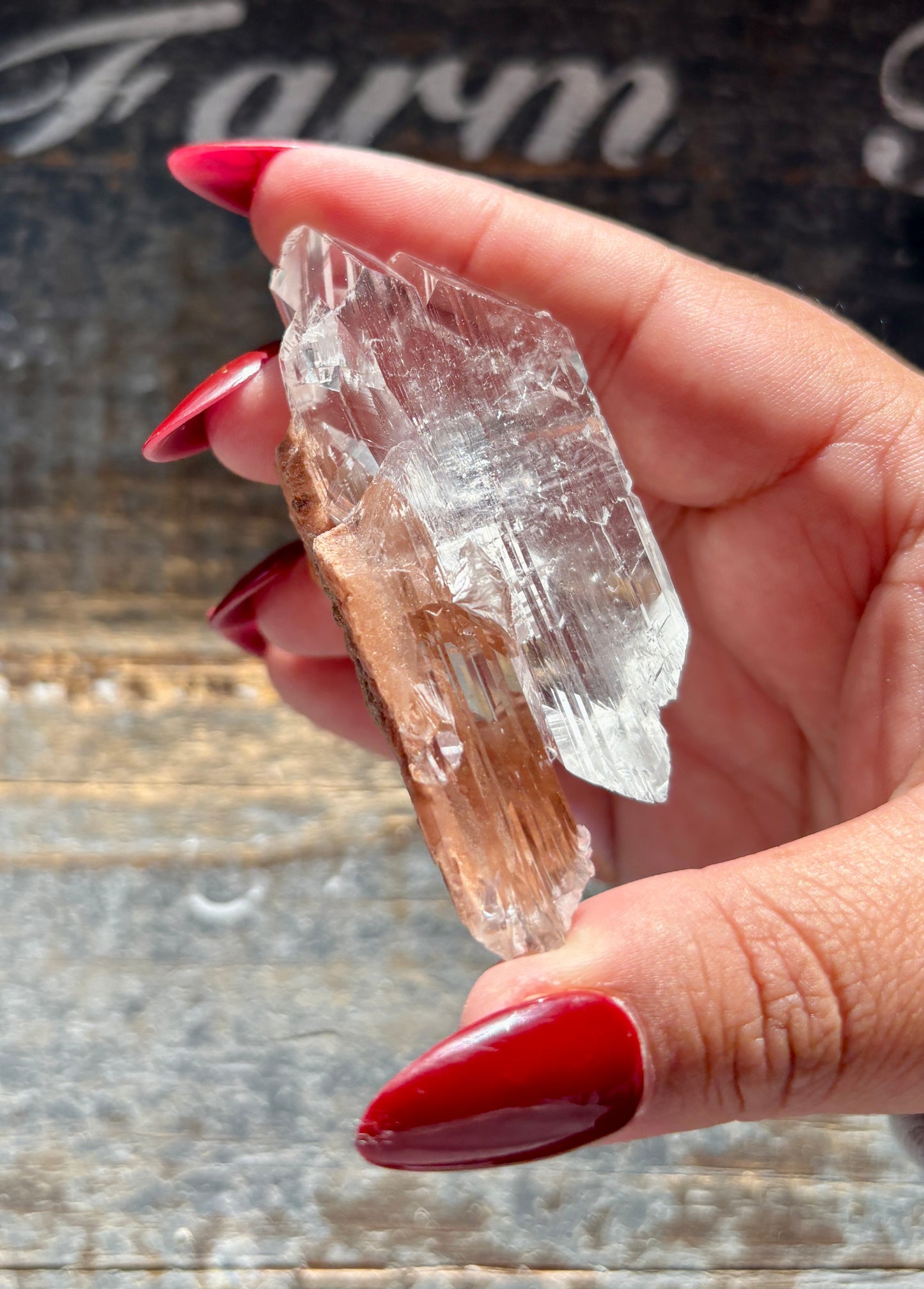 Gorgeous *RARE Naica Selenite