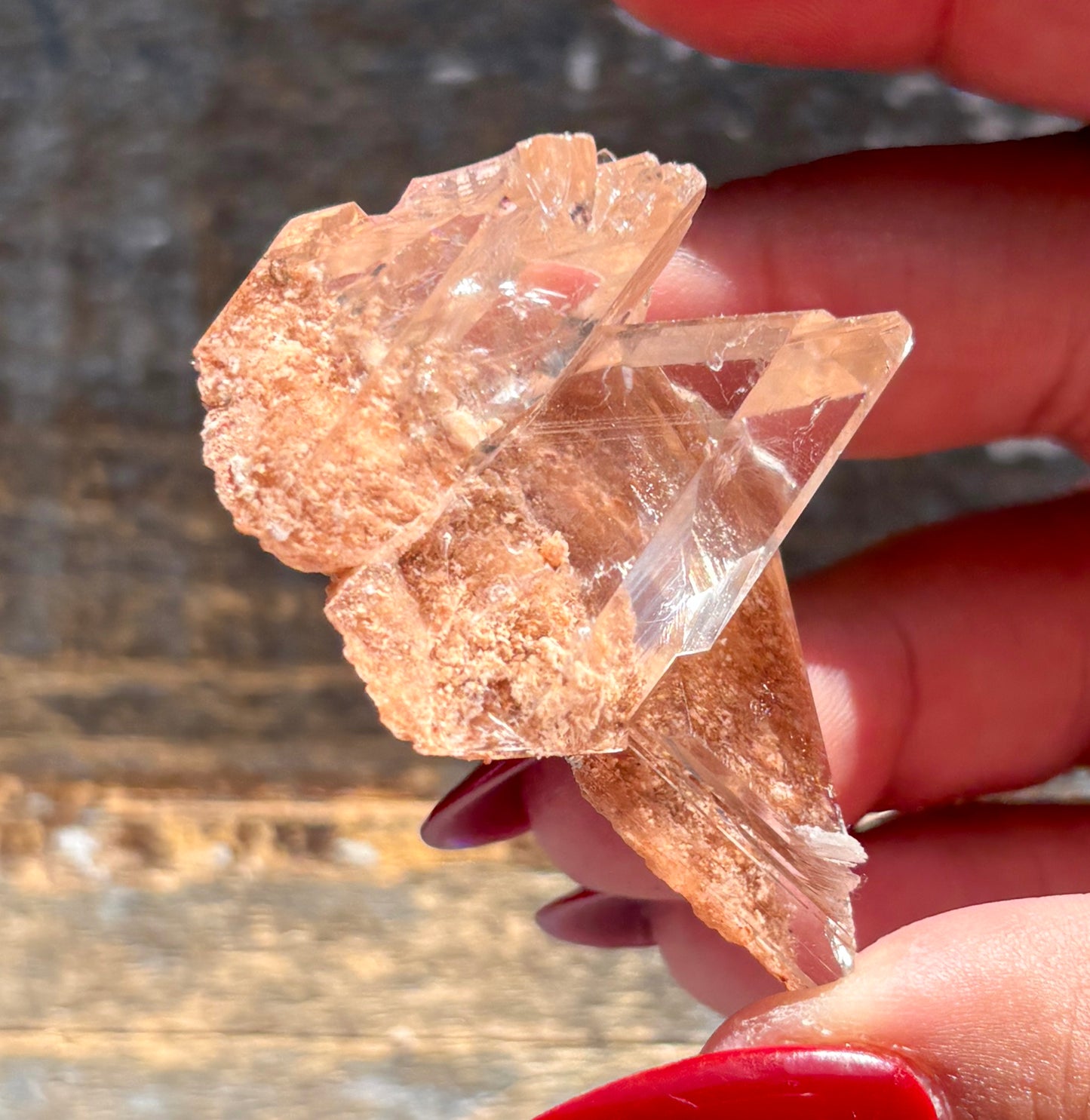 Gorgeous *RARE Naica Selenite