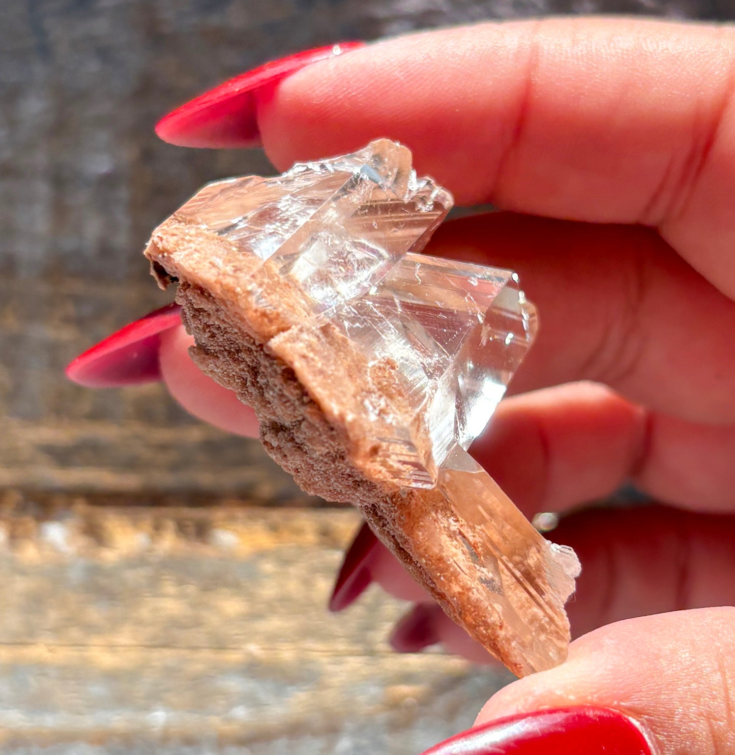 Gorgeous *RARE Naica Selenite