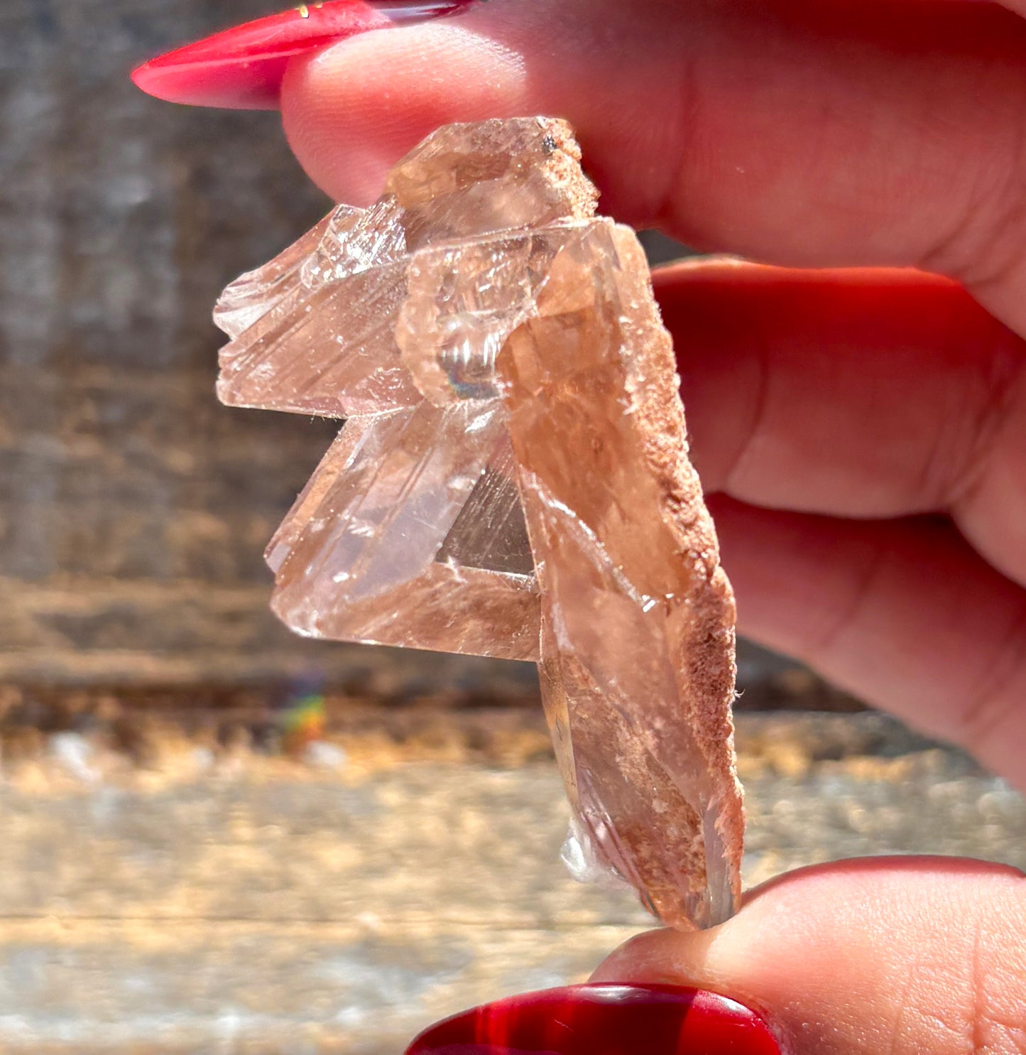 Gorgeous *RARE Naica Selenite