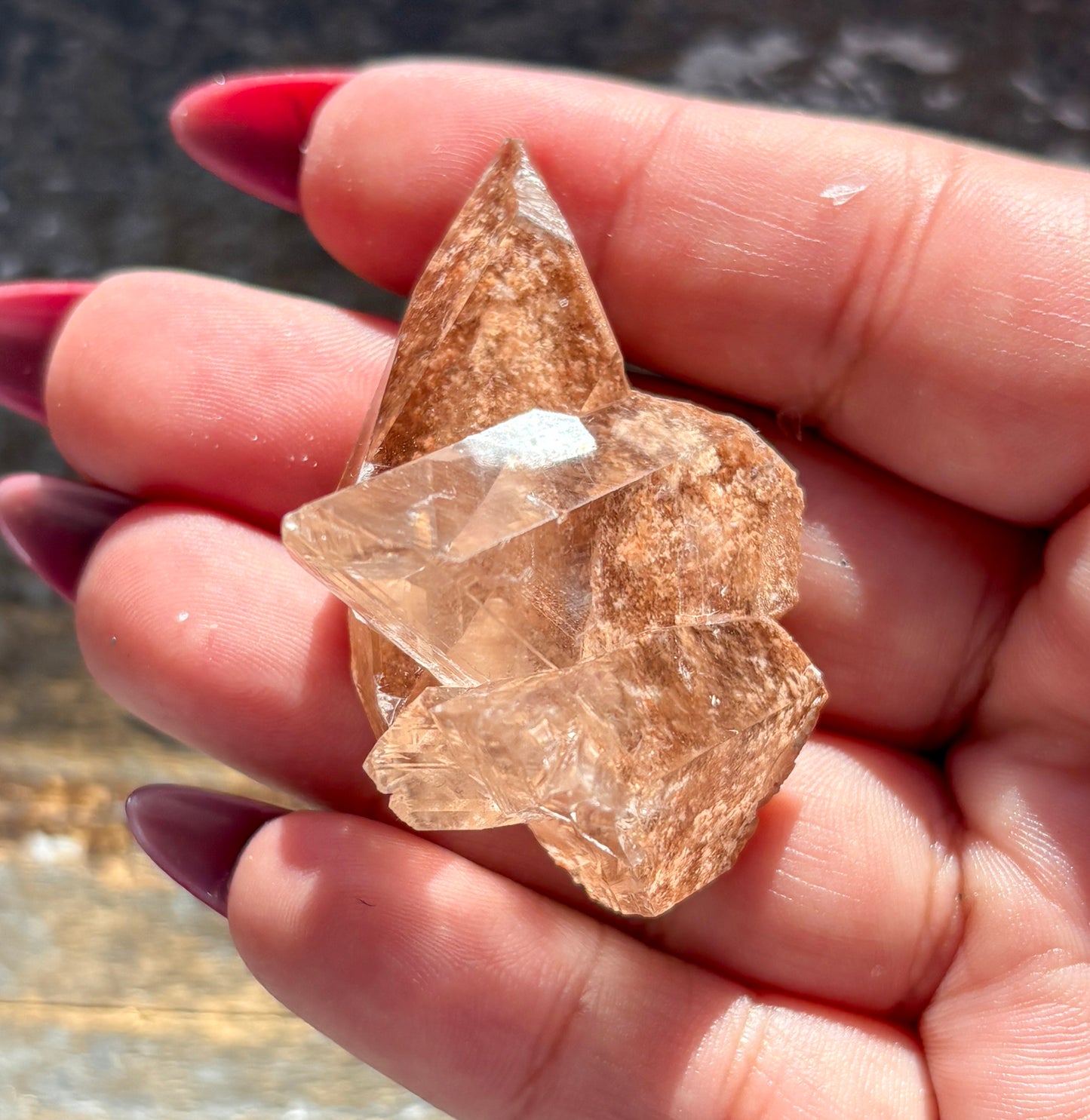 Gorgeous *RARE Naica Selenite