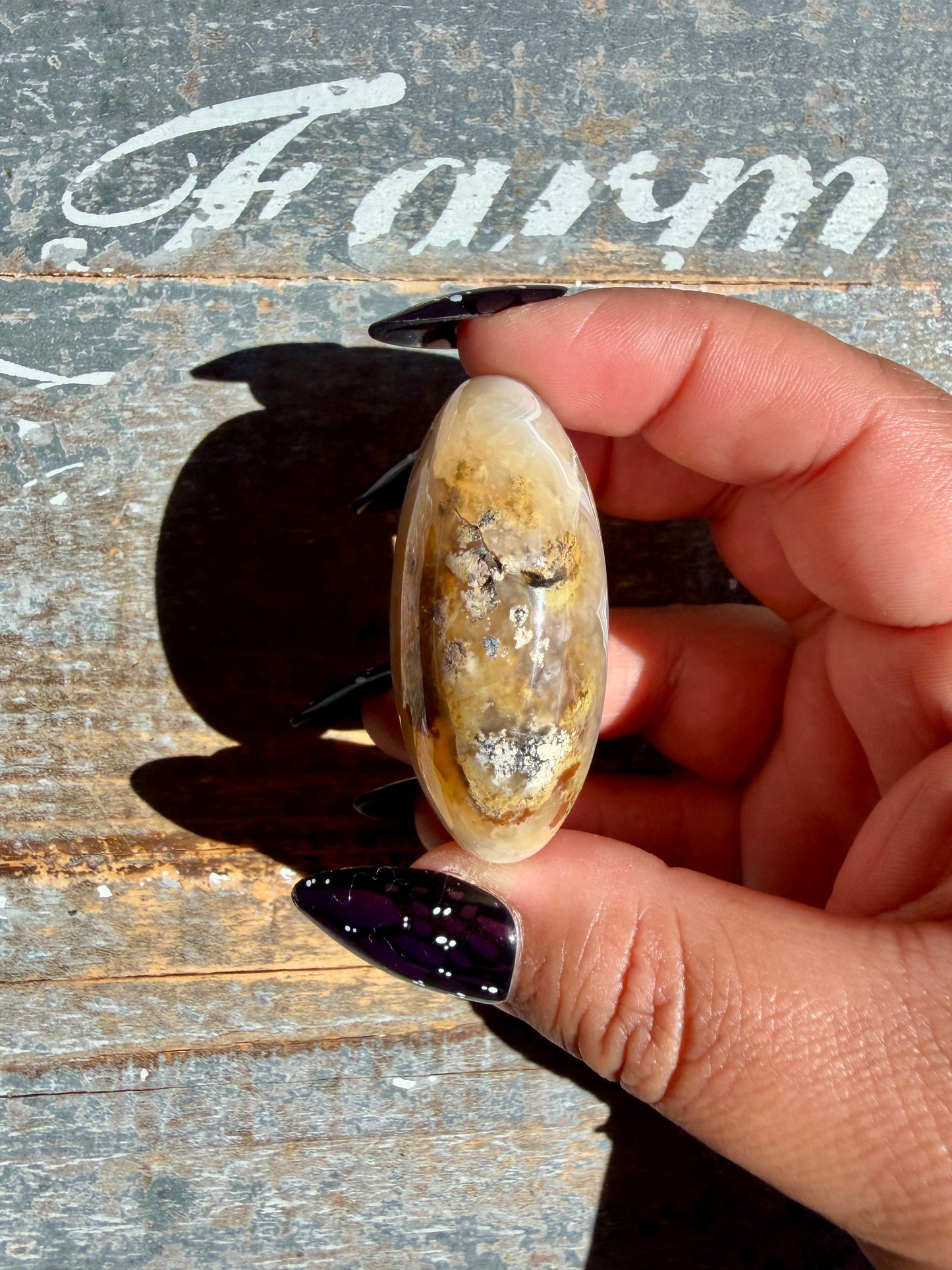 Gorgeous Scenic Moss Agate Palm Stone | Opt 79