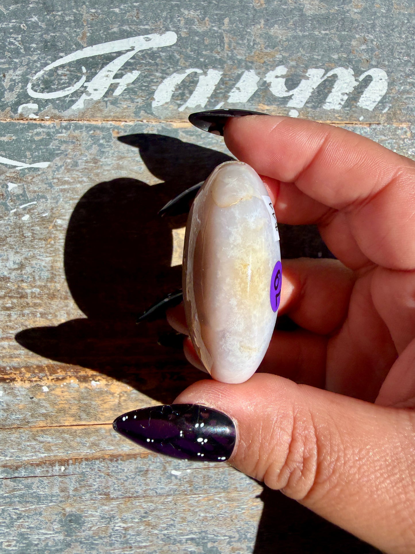 Gorgeous Scenic Moss Agate Palm Stone | Opt 79
