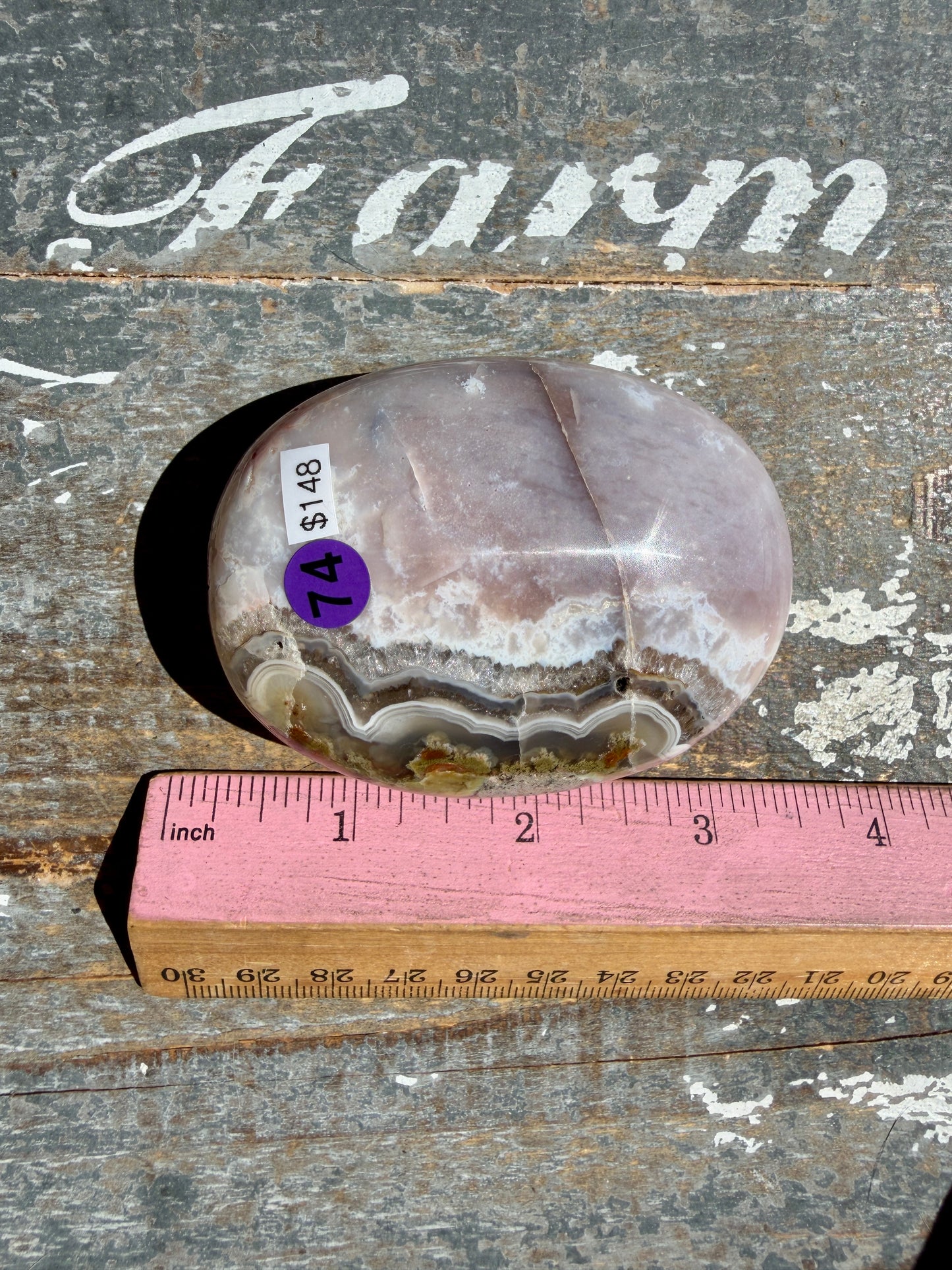 Gorgeous Scenic Moss Agate Palm Stone | Opt 74