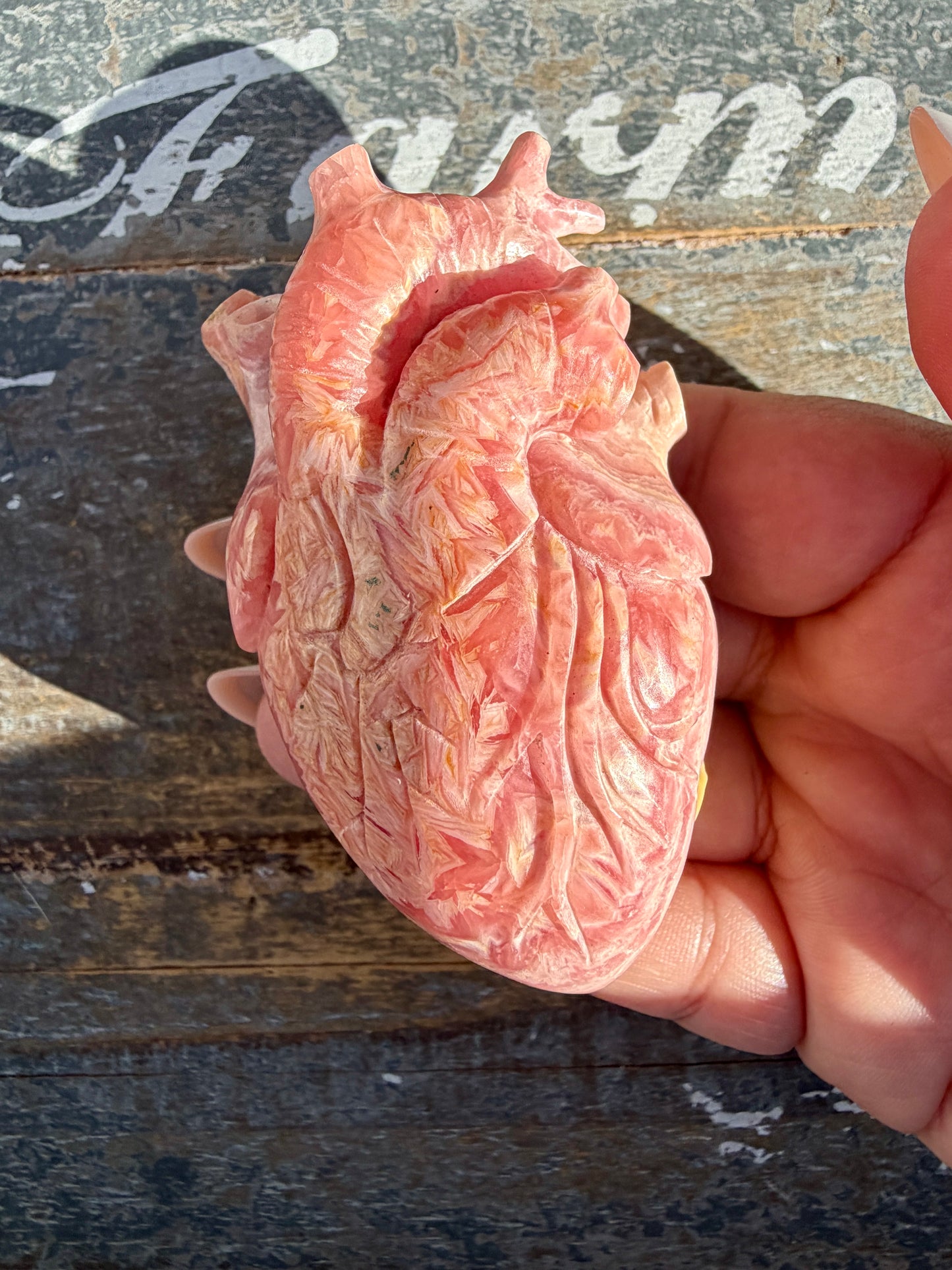 Gorgeous Rhodochrosite Anatomical Heart | Argentina | Opt L