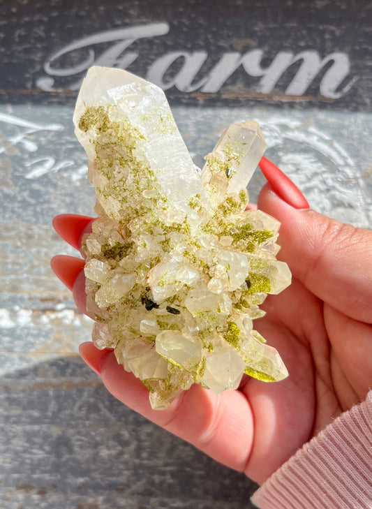 Gorgeous Collectors Piece Epidote In Quartz from Turkey