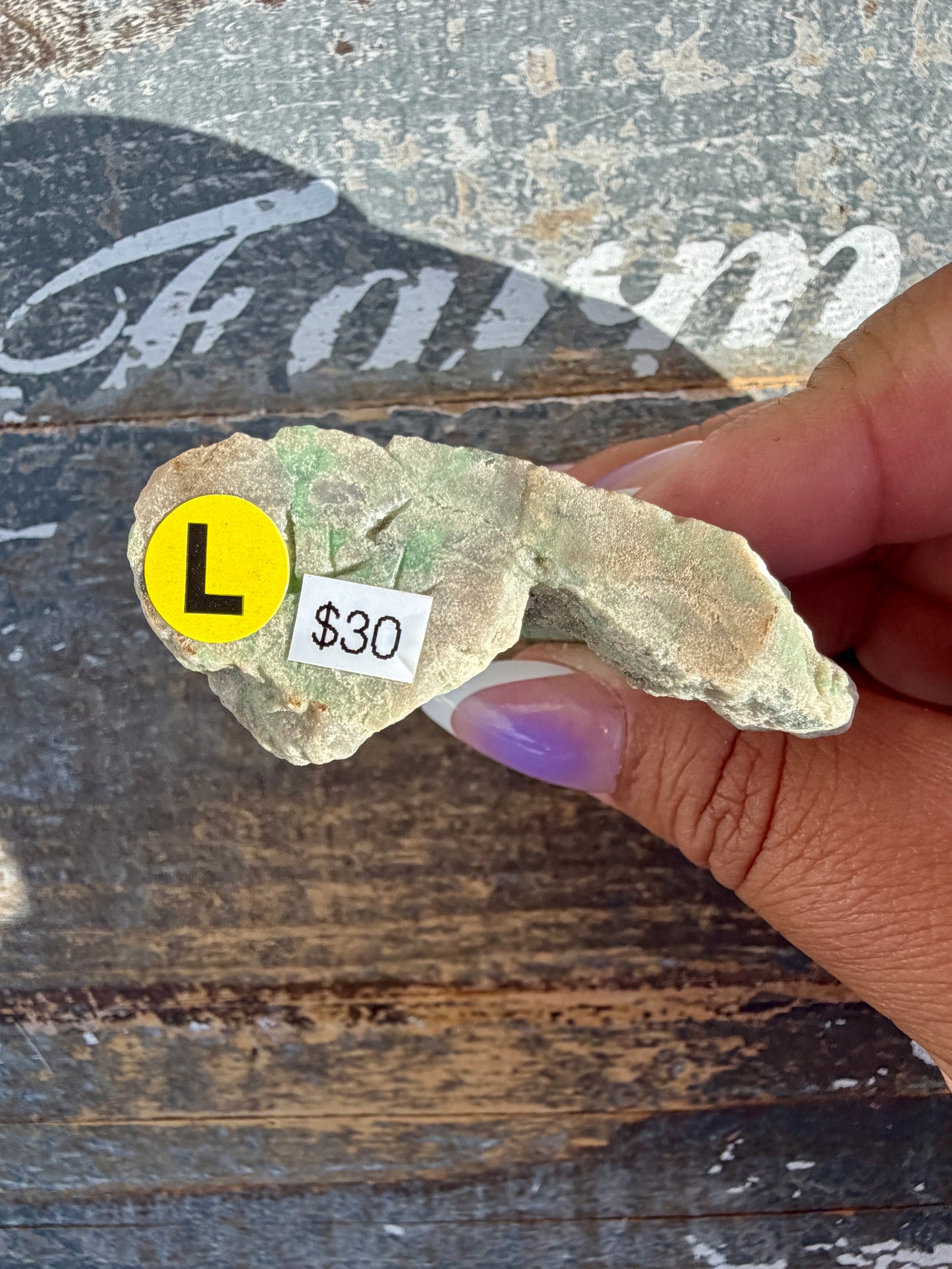Gorgeous Variscite Fish | Opt L