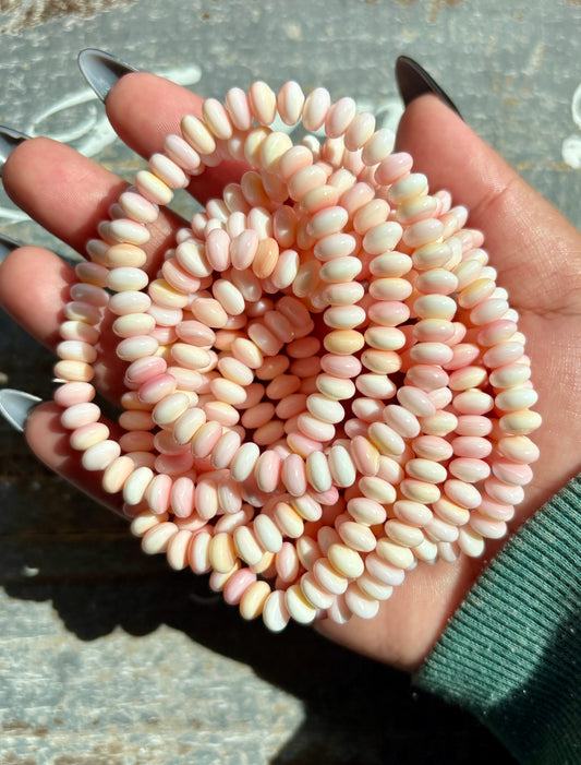 One (1) Gorgeous Queen Conch Shell Bracelet