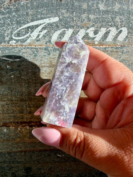 Gorgeous Unicorn Stone Tower | Opt P