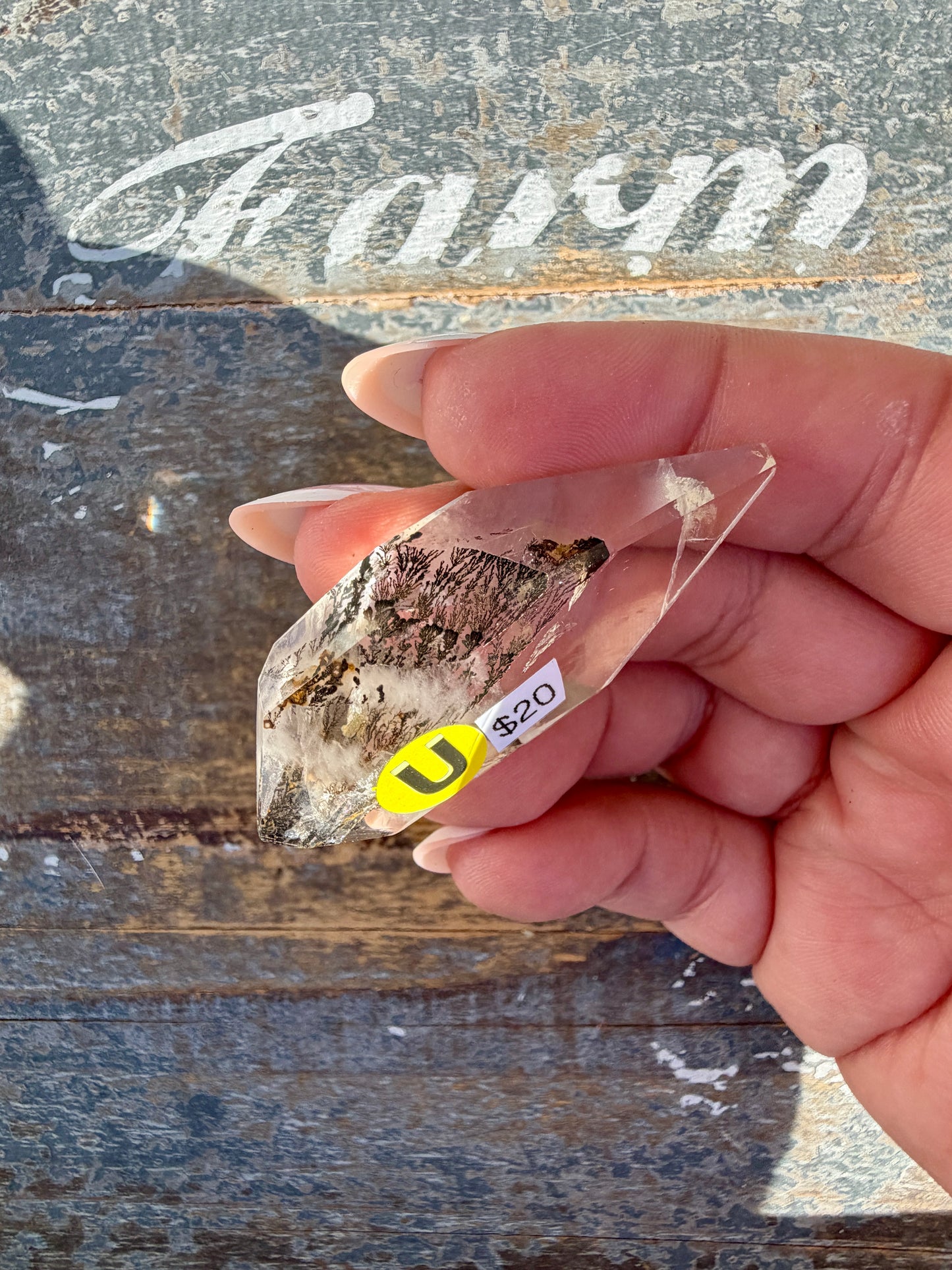 Gorgeous High Quality Dendritic Golden Healer | Opt U