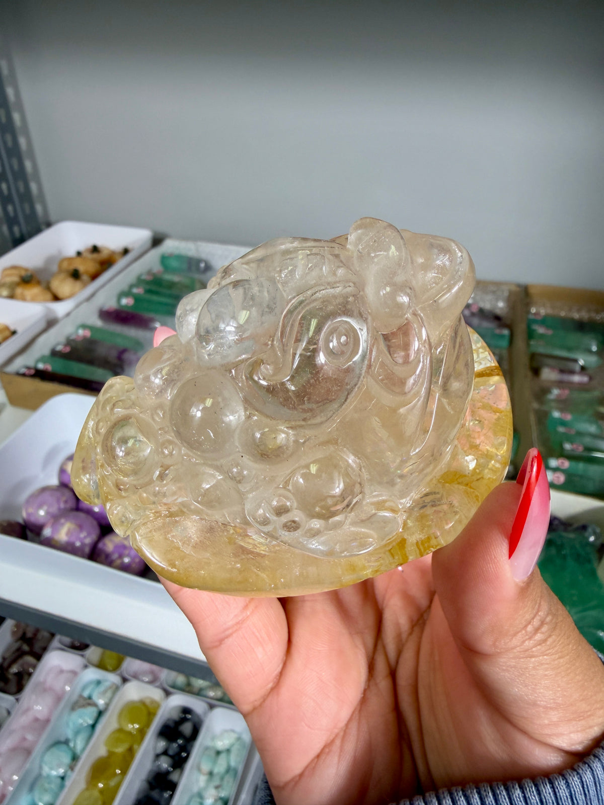 Gorgeous Golden Healer Money Toad | Big Rainbow