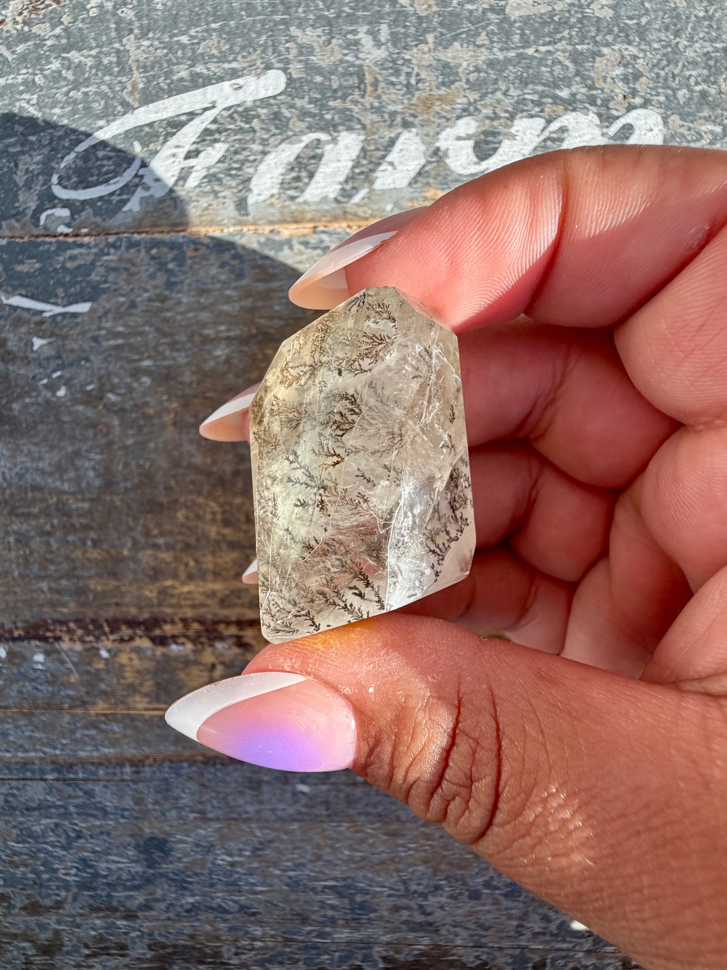 Gorgeous High Quality Dendritic Golden Healer | Opt T