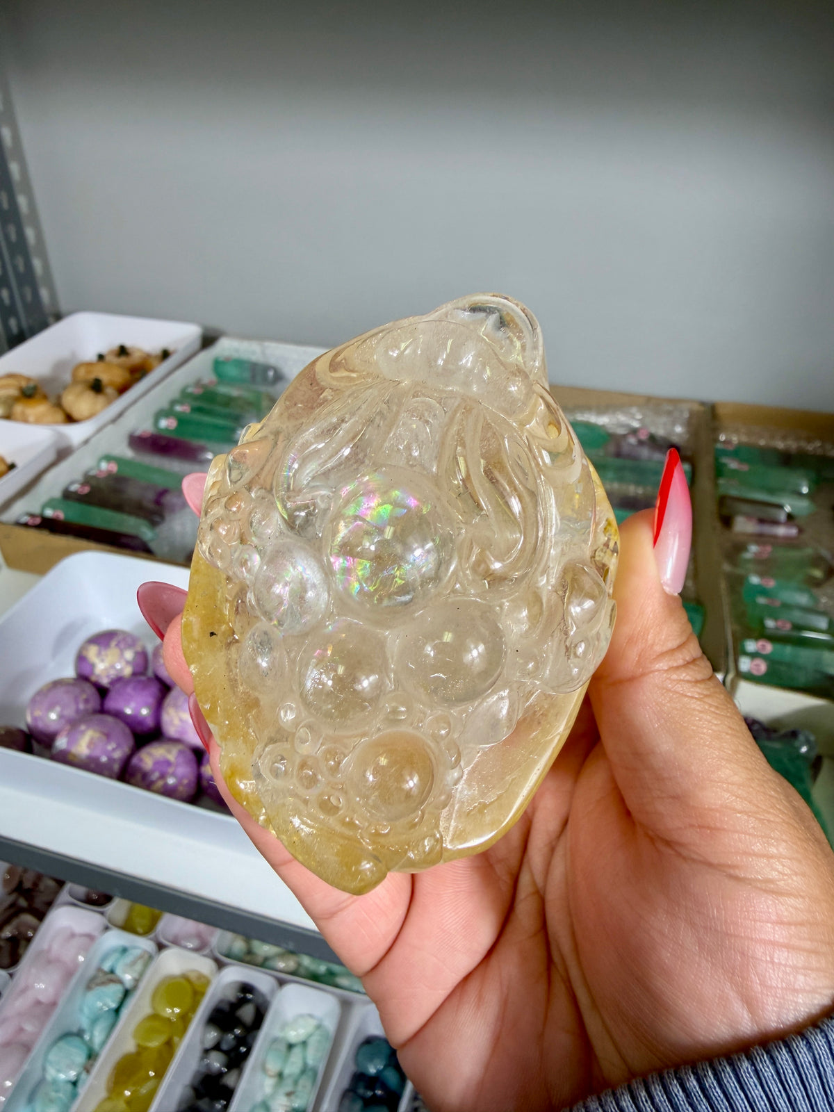 Gorgeous Golden Healer Money Toad | Big Rainbow