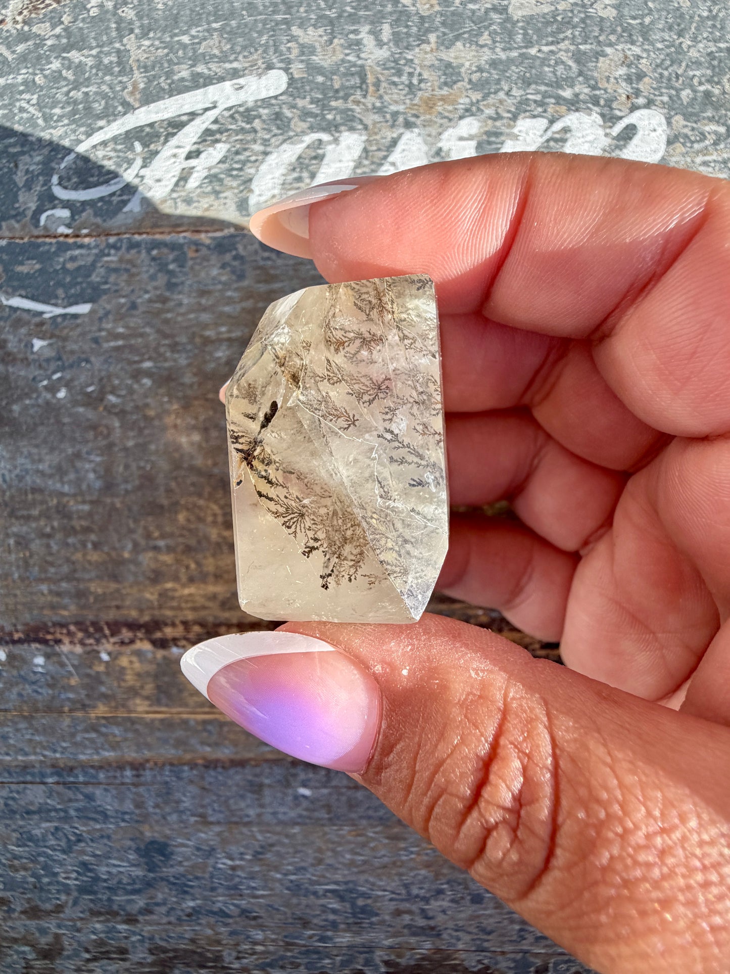 Gorgeous High Quality Dendritic Golden Healer | Opt T