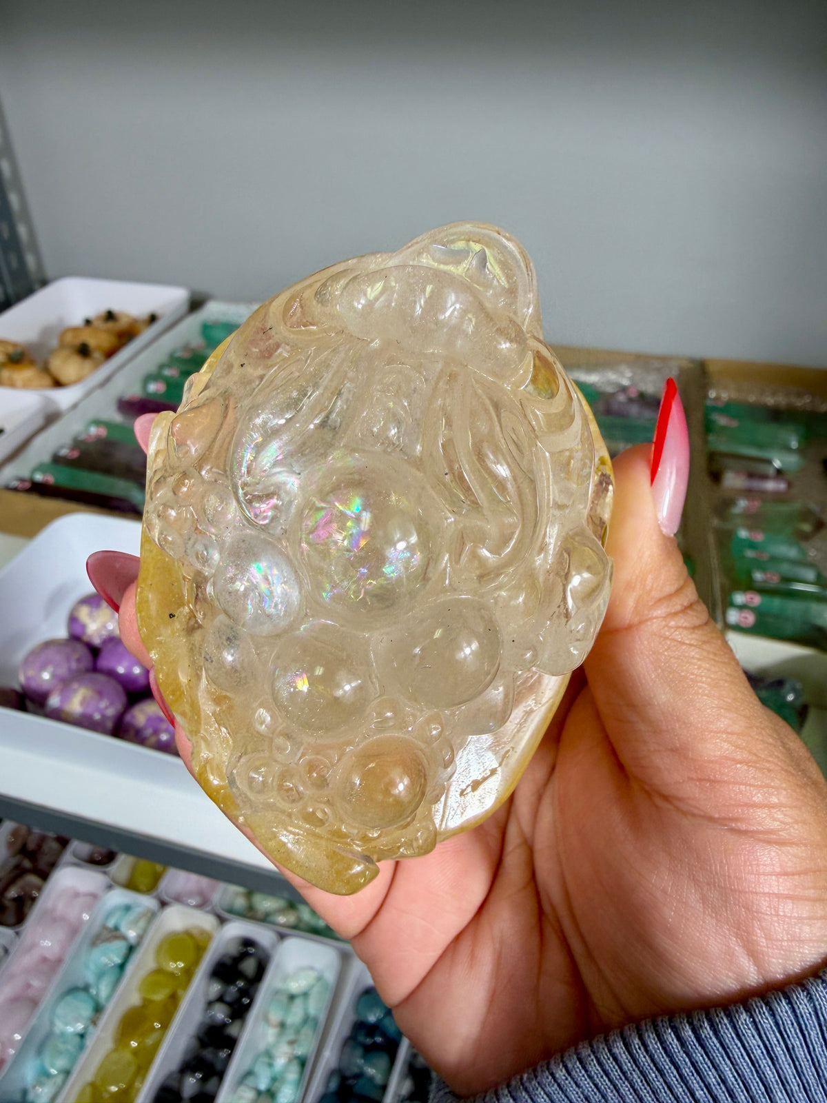 Gorgeous Golden Healer Money Toad | Big Rainbow