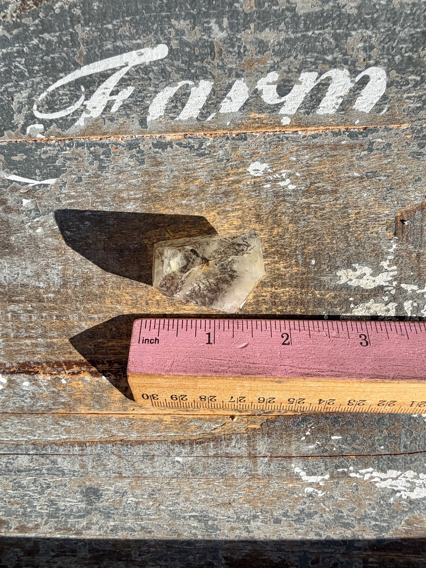 Gorgeous High Quality Dendritic Golden Healer | Opt T