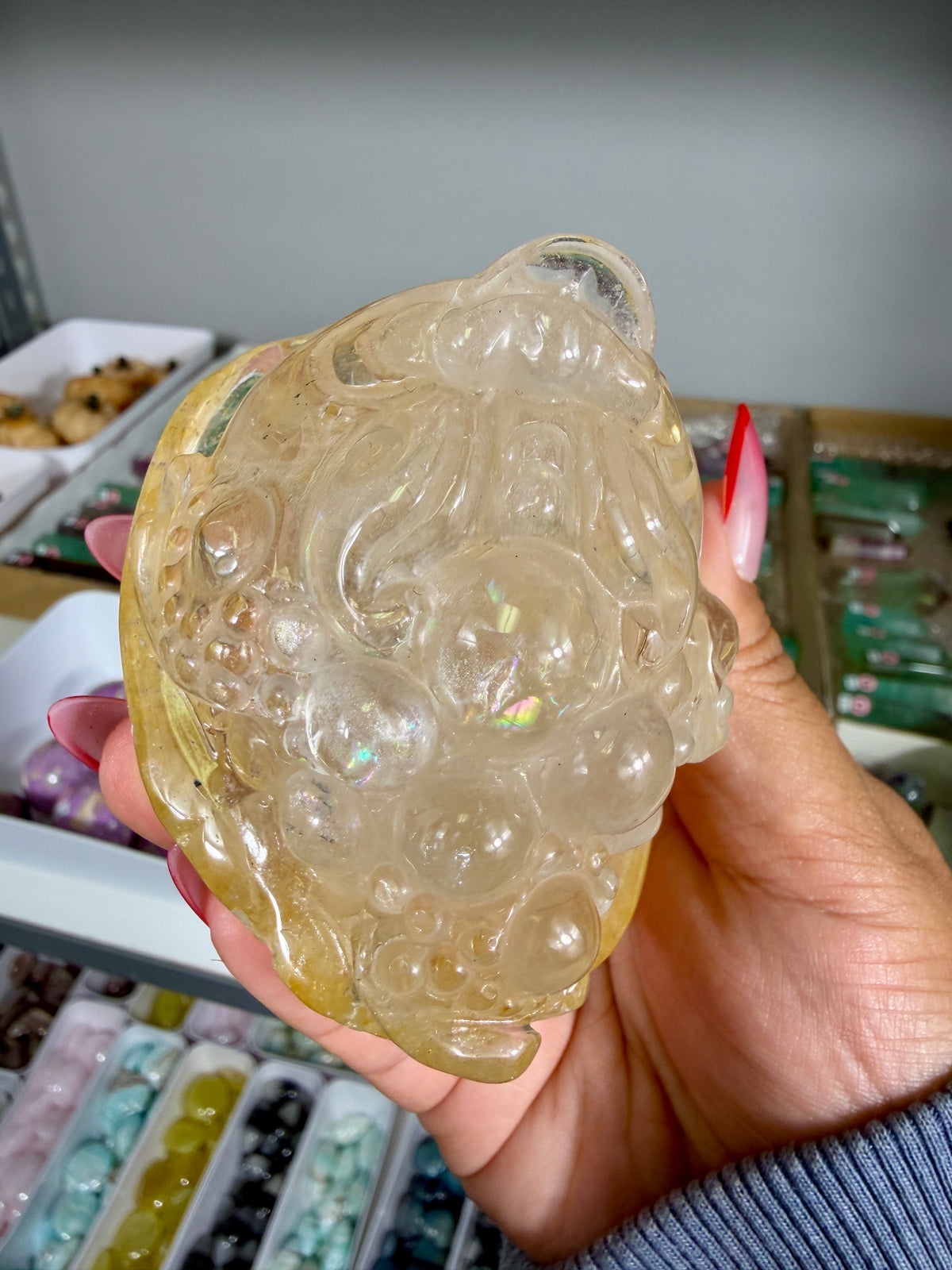 Gorgeous Golden Healer Money Toad | Big Rainbow