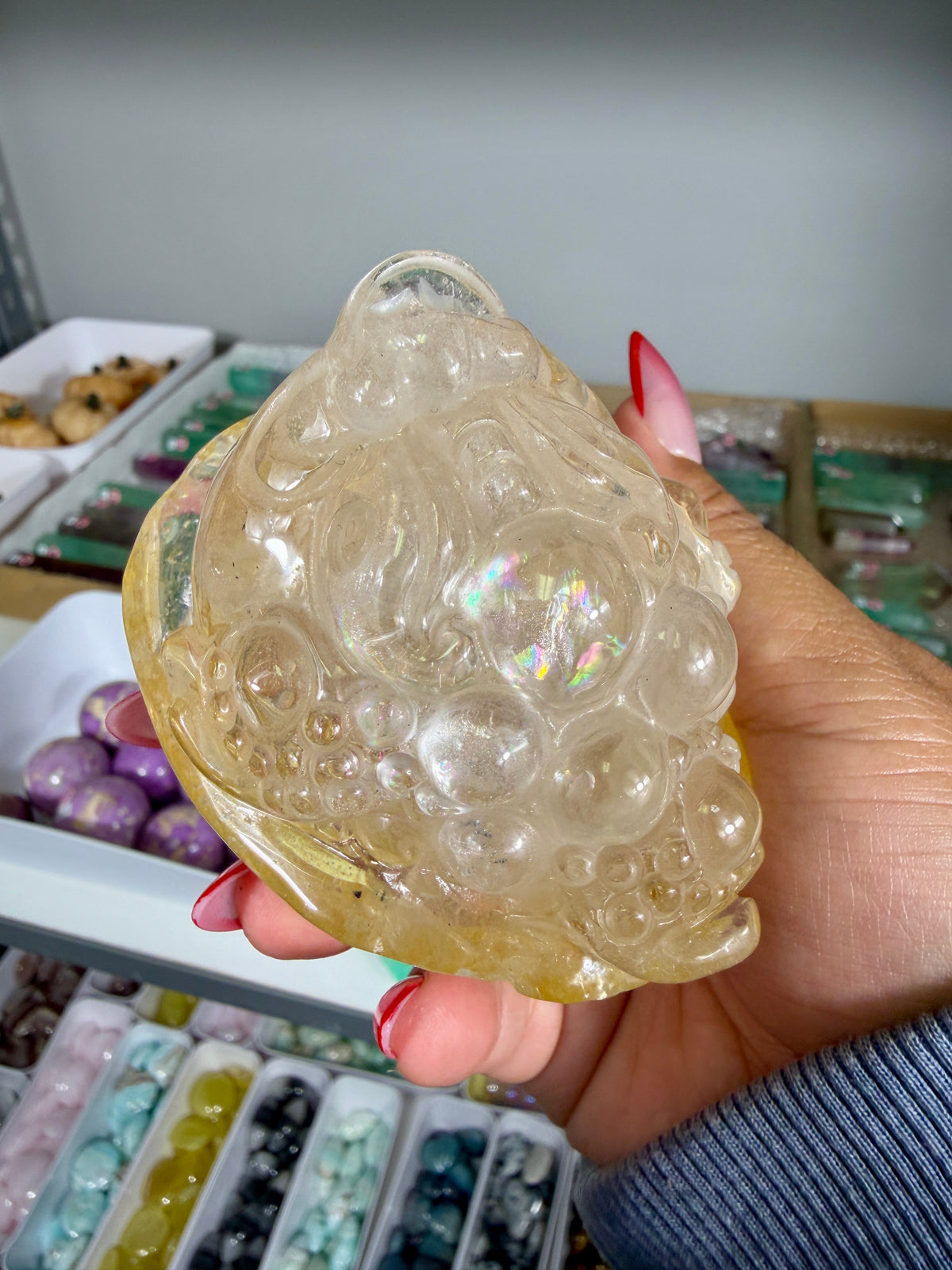 Gorgeous Golden Healer Money Toad | Big Rainbow