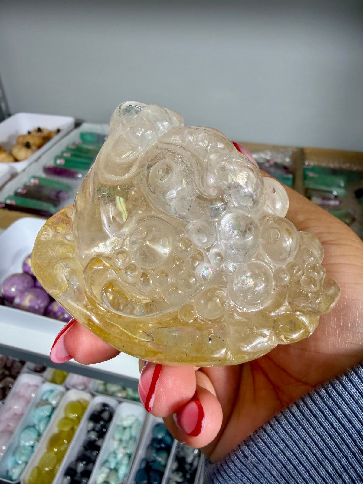 Gorgeous Golden Healer Money Toad | Big Rainbow