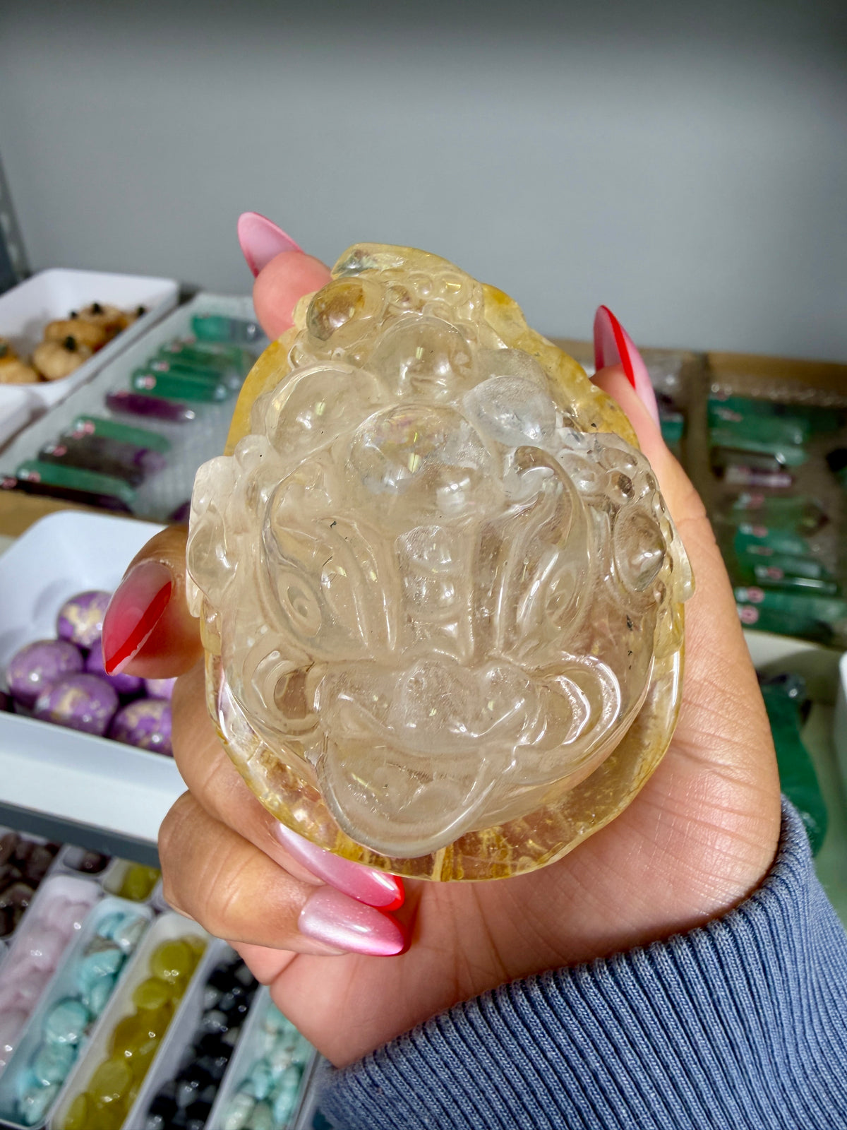 Gorgeous Golden Healer Money Toad | Big Rainbow