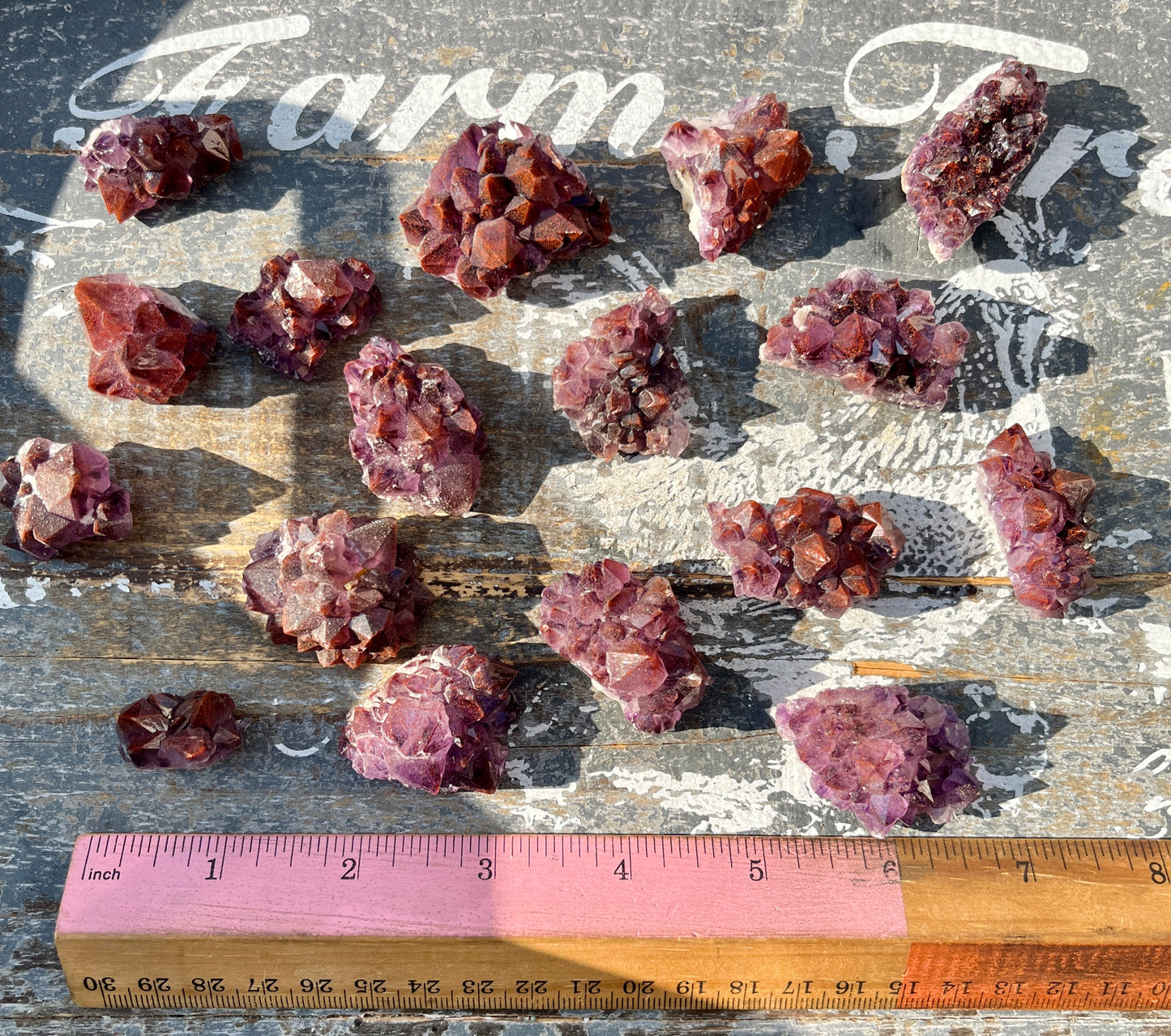 One (1) Gorgeous Thunder Bay Amethyst Mini Cluster from Canada