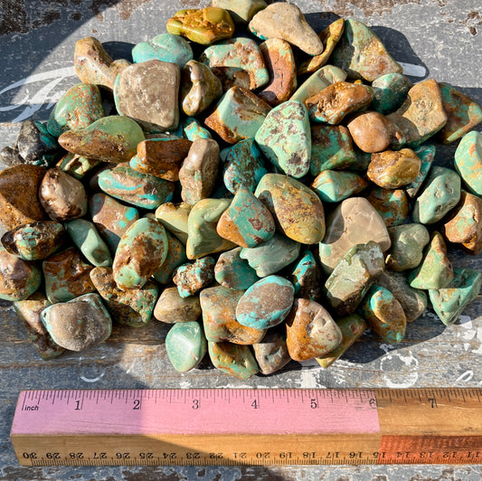 One (1) Gorgeous Authentic Natural Turquoise Tumble from Arizona