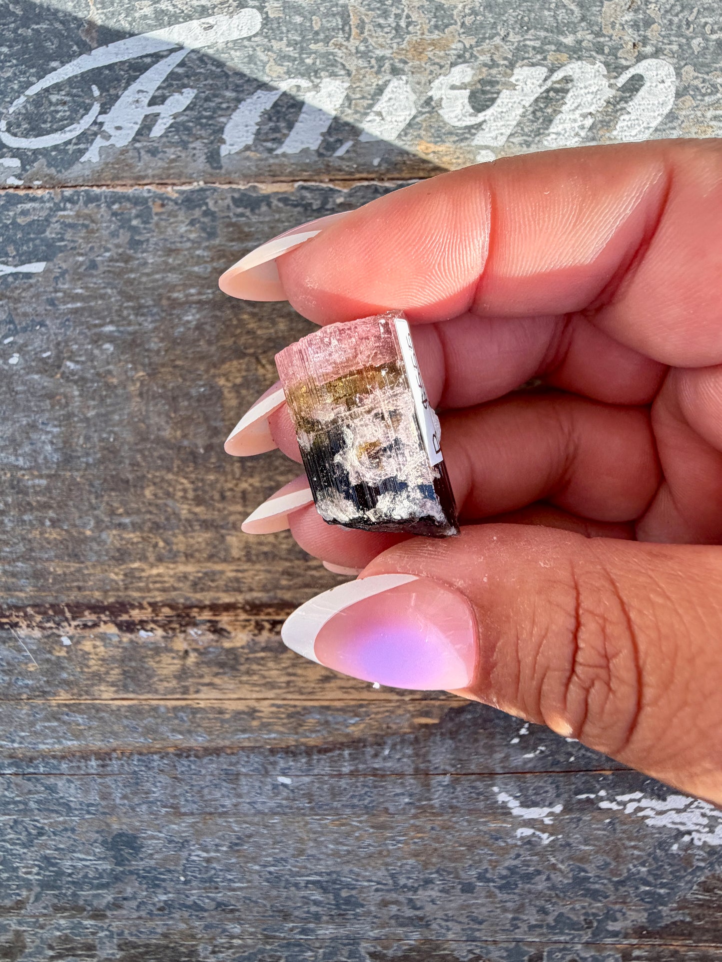 Gorgeous Bi Color Watermelon Tourmaline | Opt B