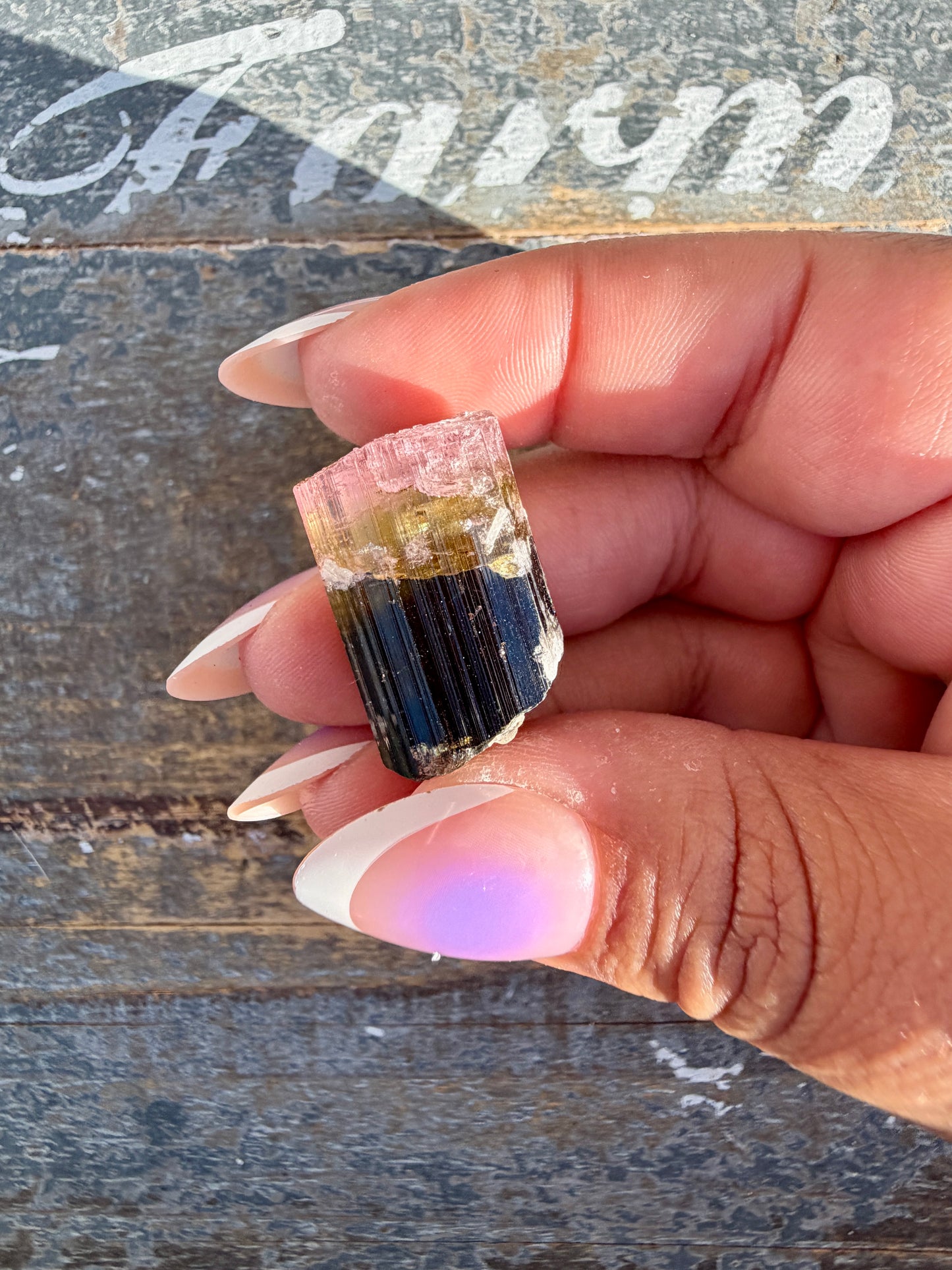 Gorgeous Bi Color Watermelon Tourmaline | Opt B