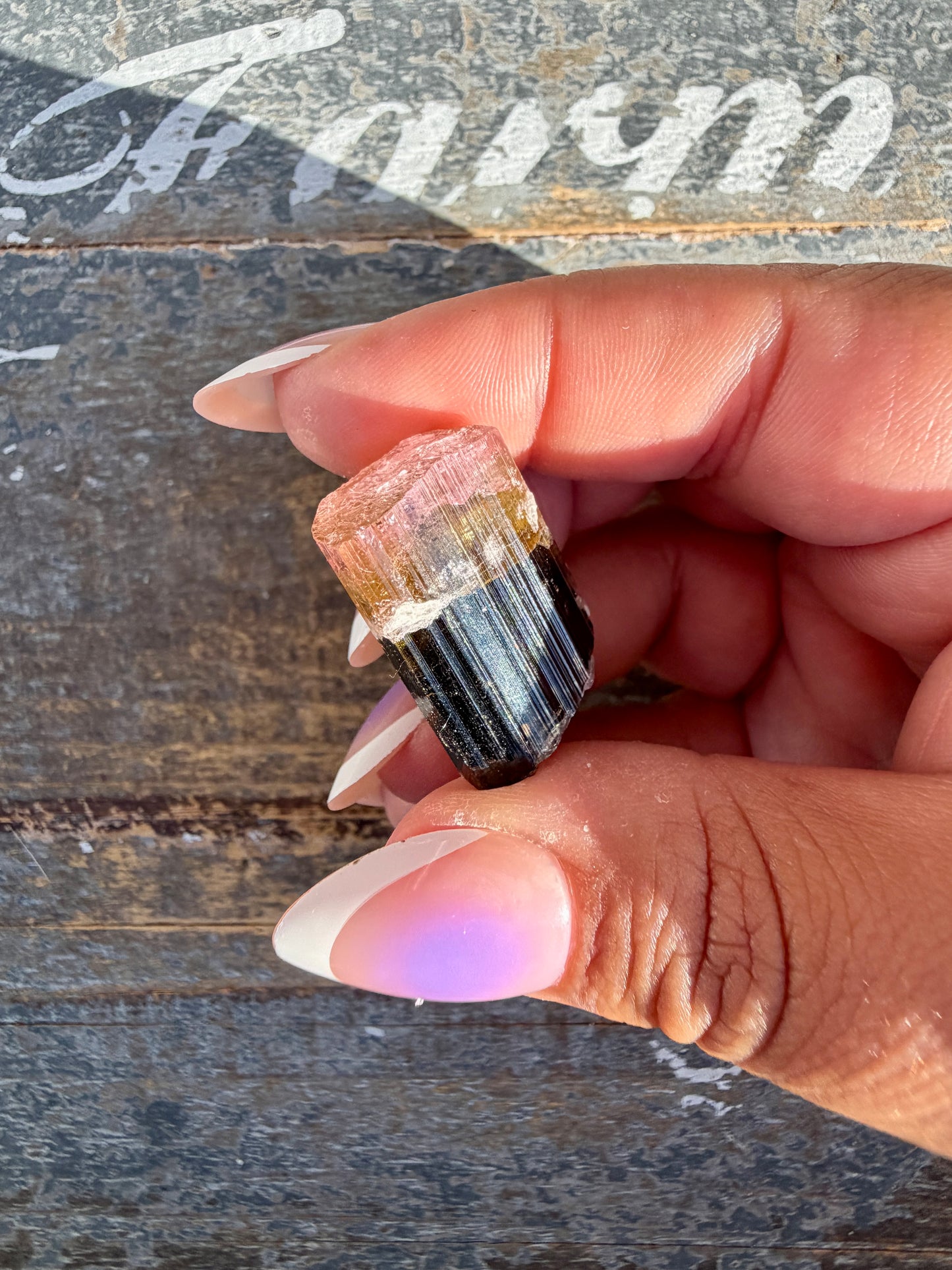 Gorgeous Bi Color Watermelon Tourmaline | Opt B