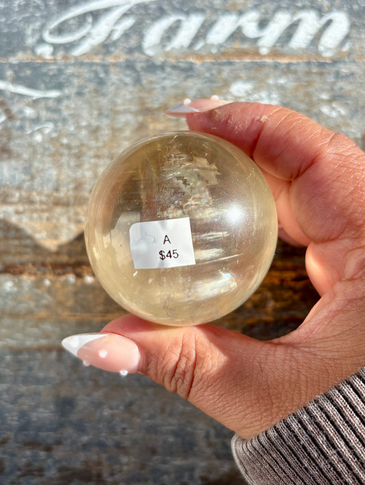 Gorgeous Optical Honey Calcite Sphere | A