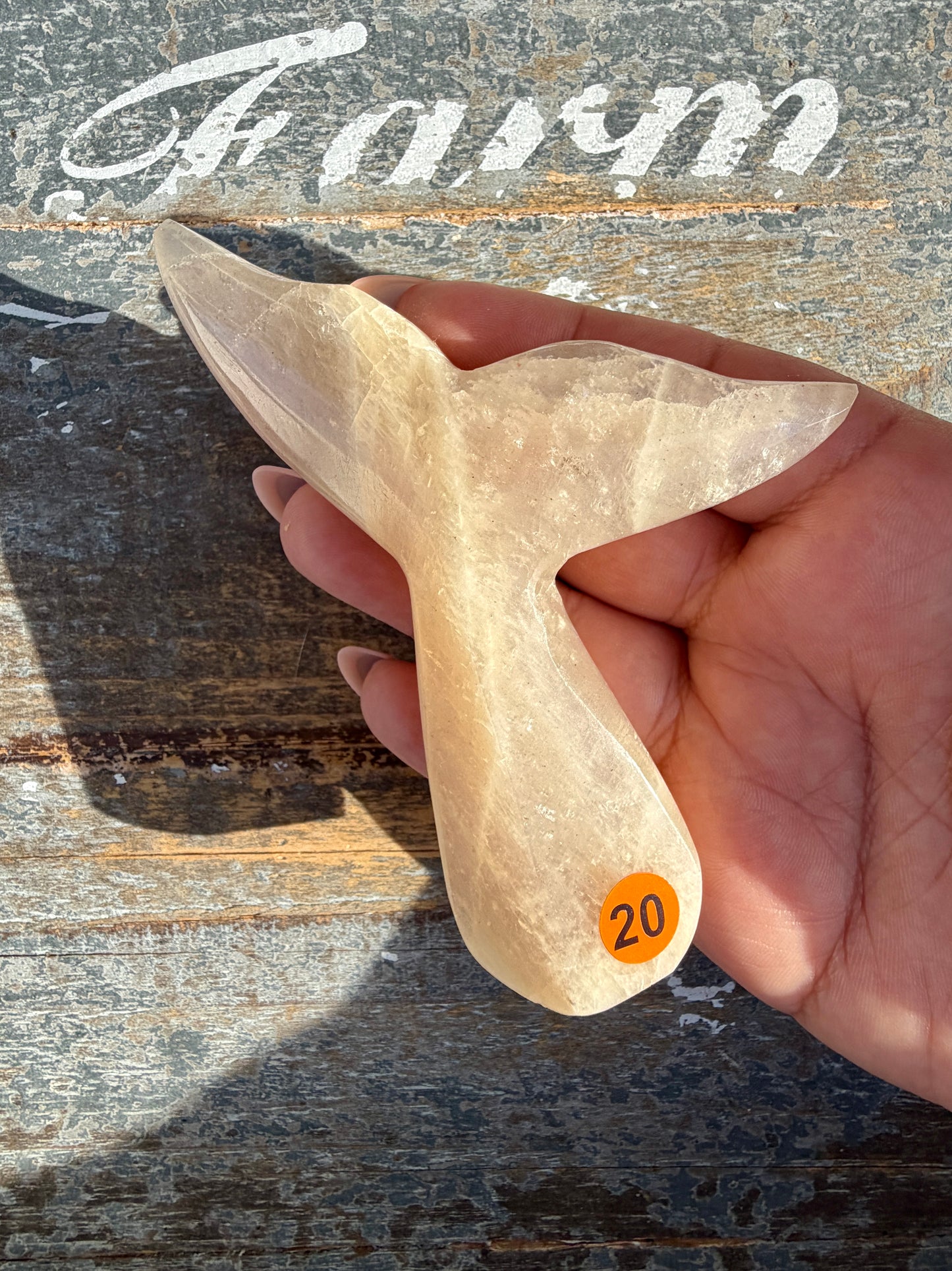 Gorgeous Blue Flash Moonstone Whale Tail | Opt 20
