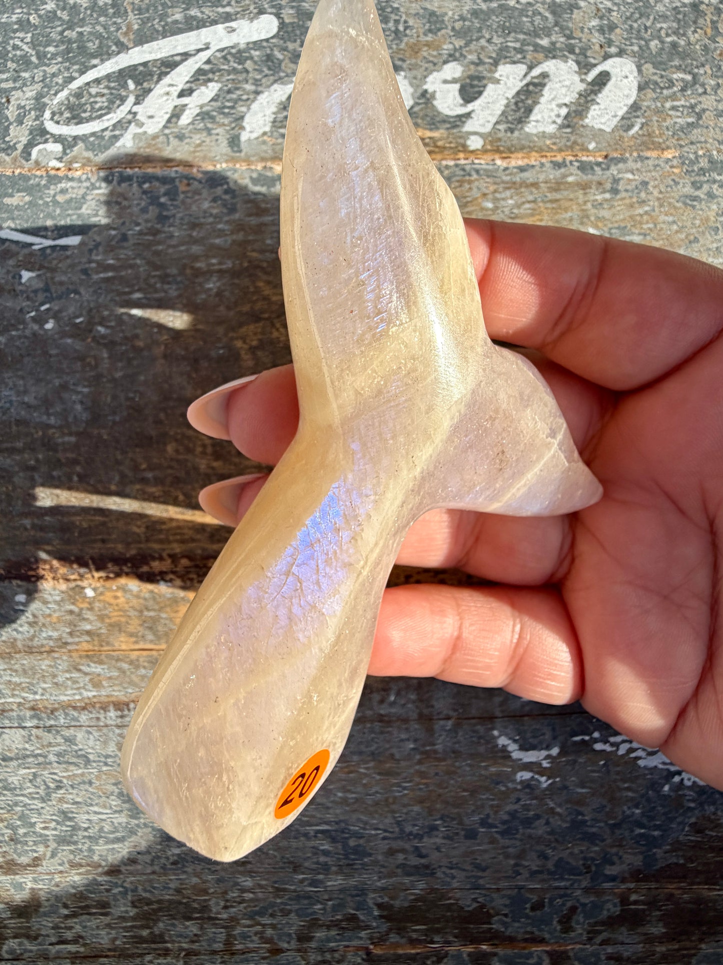 Gorgeous Blue Flash Moonstone Whale Tail | Opt 20